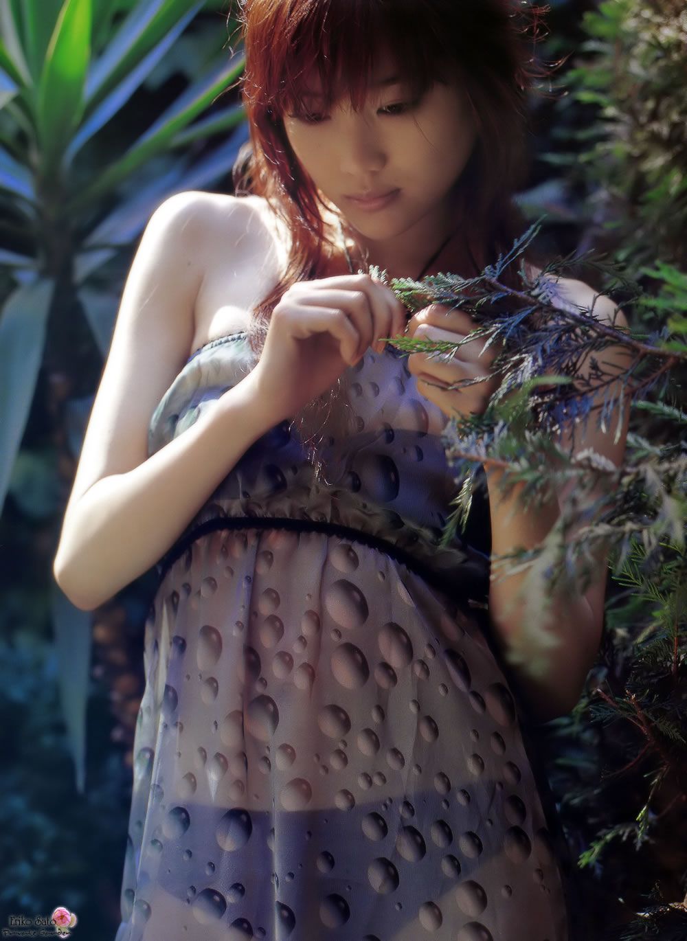 [PB] Eriko Sato 佐藤江梨子写真集『PERFECTNESS』
