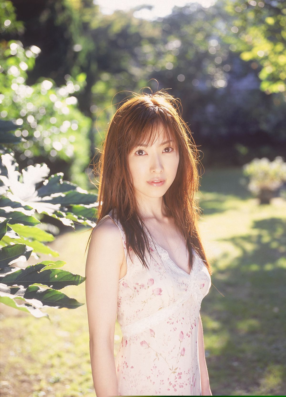 [NS Eyes] SF-No.524 Yoko Watanabe 渡辺洋香