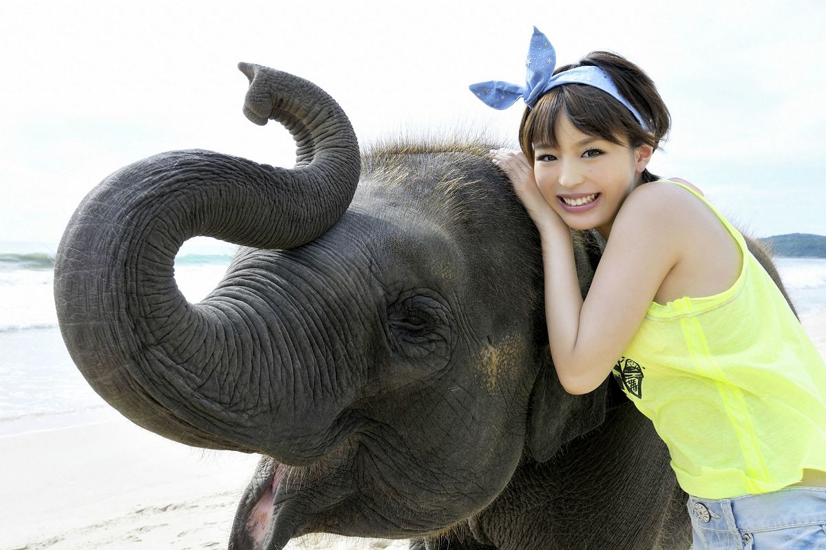 [YS Web] Vol.390 平野綾  Aya Hirano『抱きしめタイ!!』
