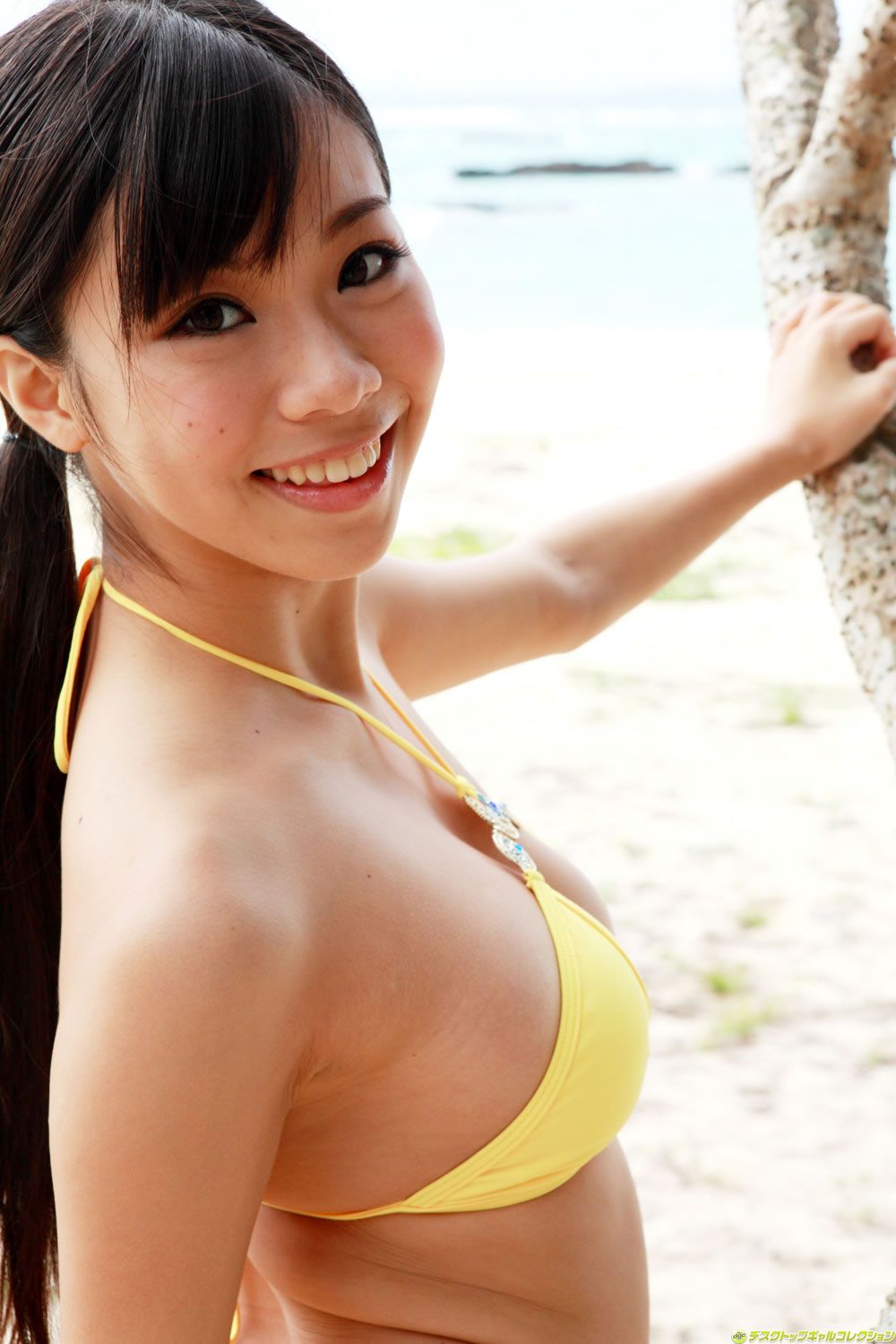 [DGC] 2011年12月號 No.988 鈴木ふみ奈 Fumina Suzuki
