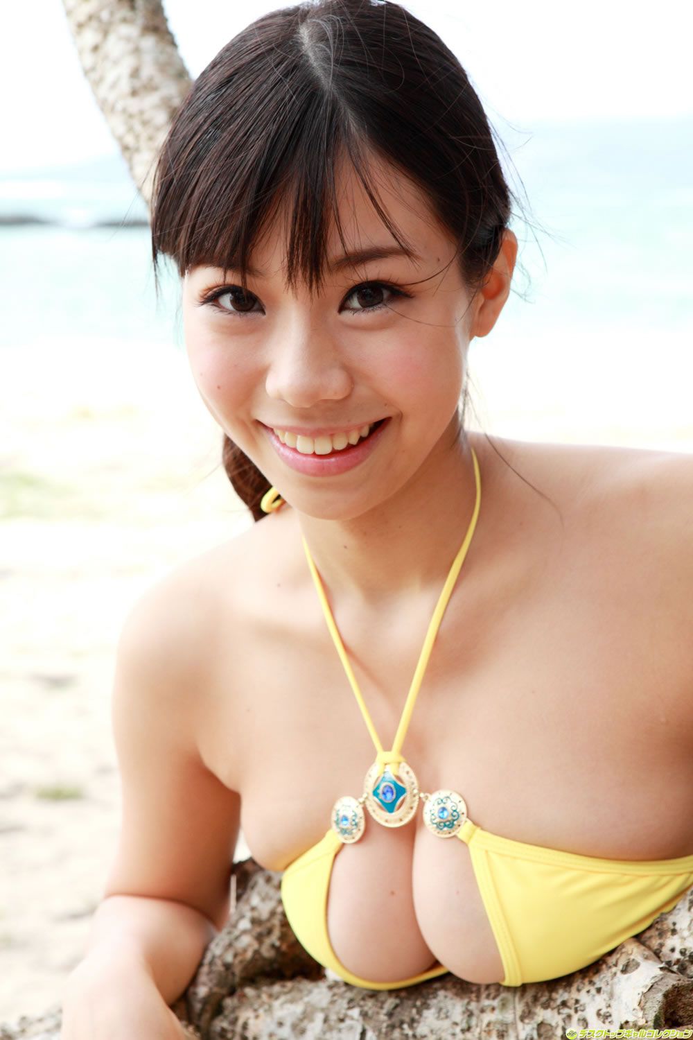 [DGC] 2011年12月號 No.988 鈴木ふみ奈 Fumina Suzuki