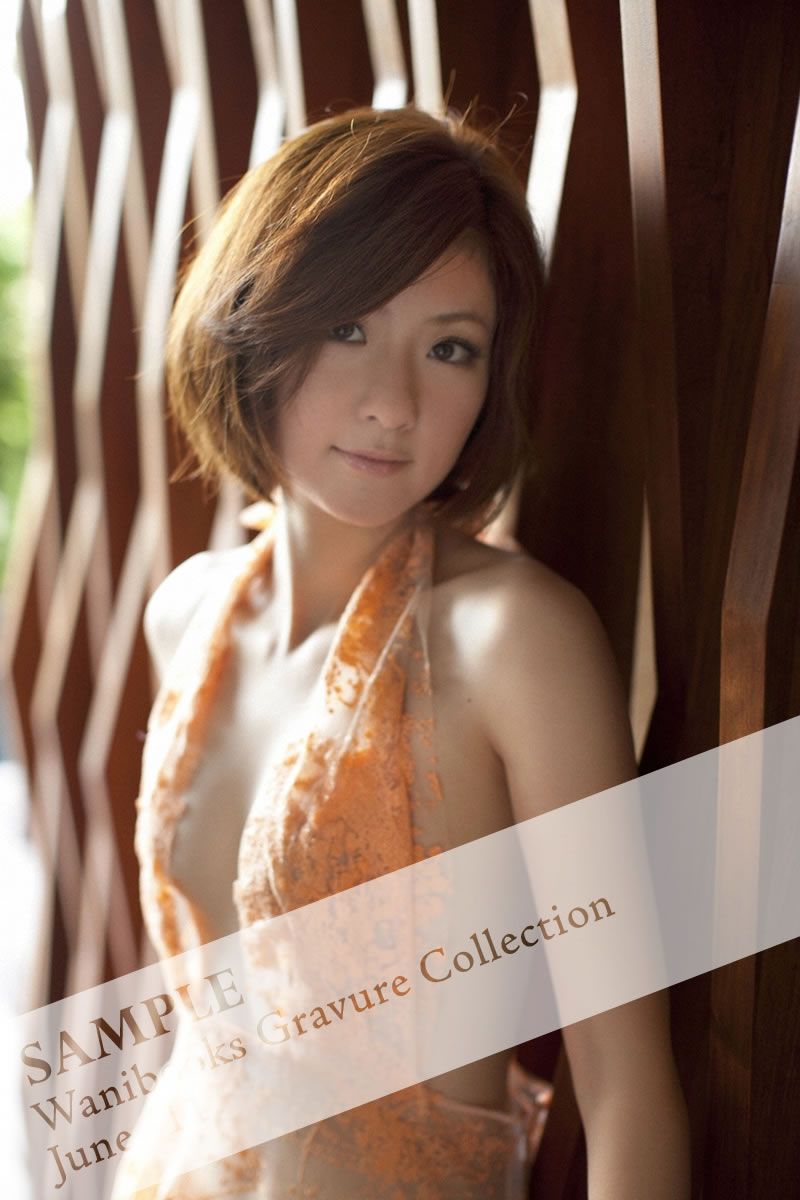 [Wanibooks]2011.06月号 #84 四元奈生美 Haomi Yotsumoto [220P+12WP]