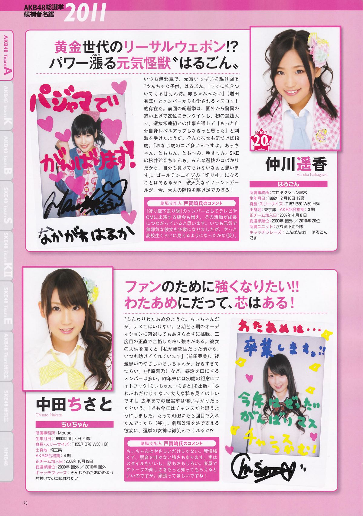 AKB48 - 総選挙2011公式