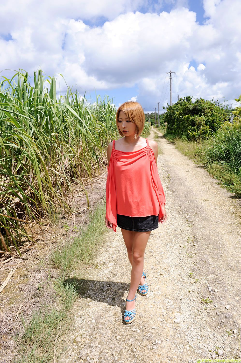 [DGC] 2011年04月号 No.938 乙音奈々 Nana Otone
