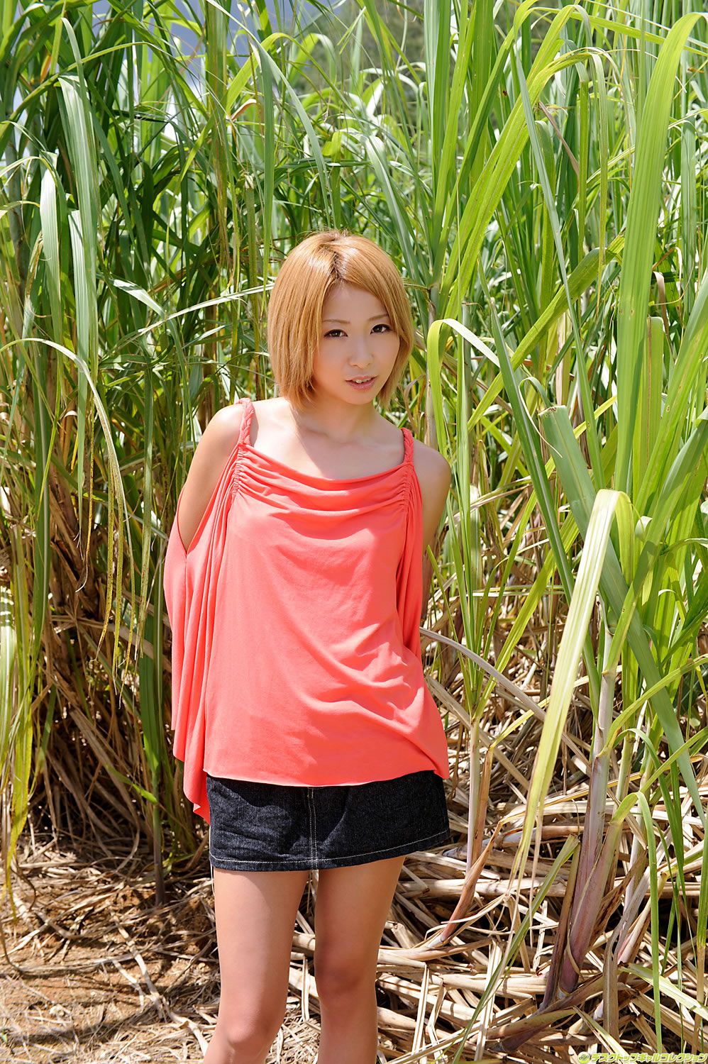 [DGC] 2011年04月号 No.938 乙音奈々 Nana Otone
