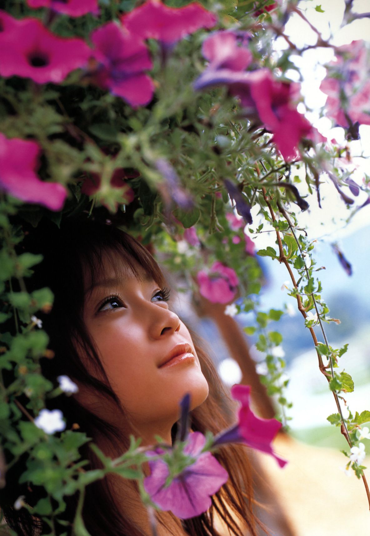 [Photo Book] 亀井絵里 Eri Kamei -  Maple 寫真集