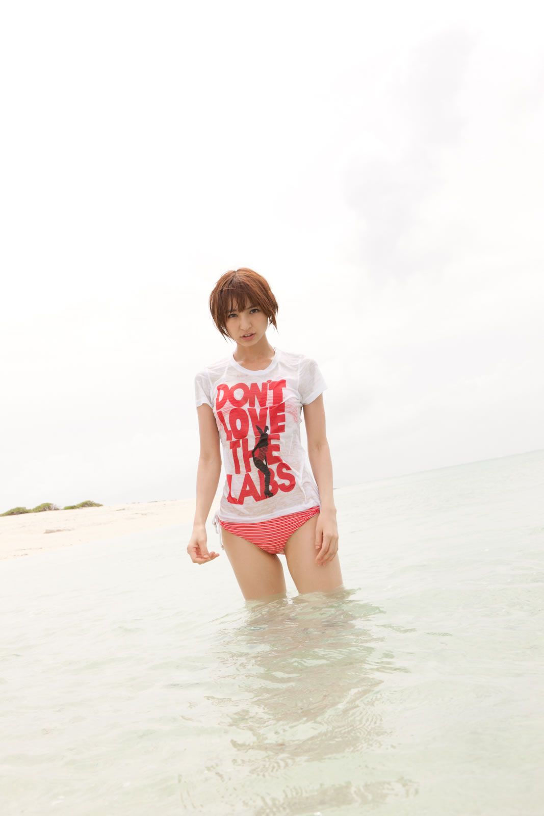 [VYJ] No.114 篠田麻里子 [140P]