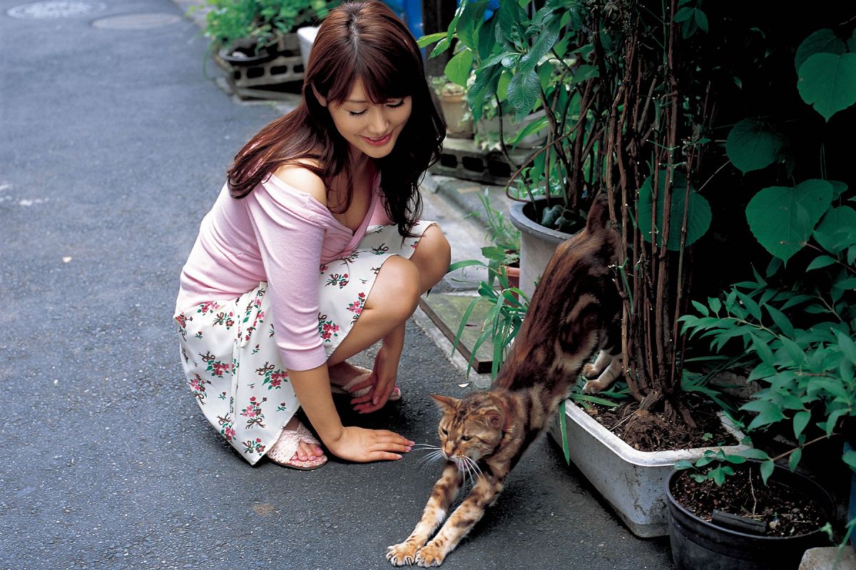 [Wanibooks WBGC] 2010.05 No.71 Megumi Yasu 安めぐみ [216P]