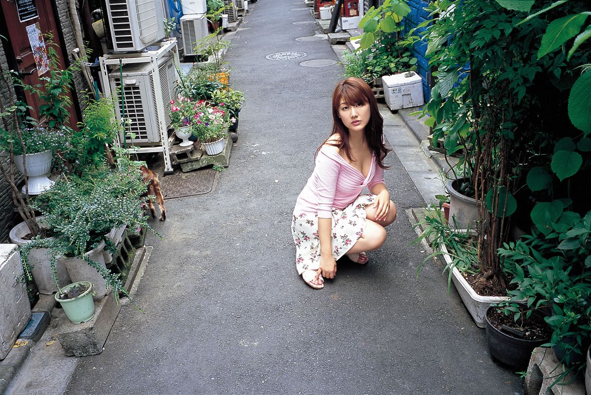[Wanibooks WBGC] 2010.05 No.71 Megumi Yasu 安めぐみ [216P]