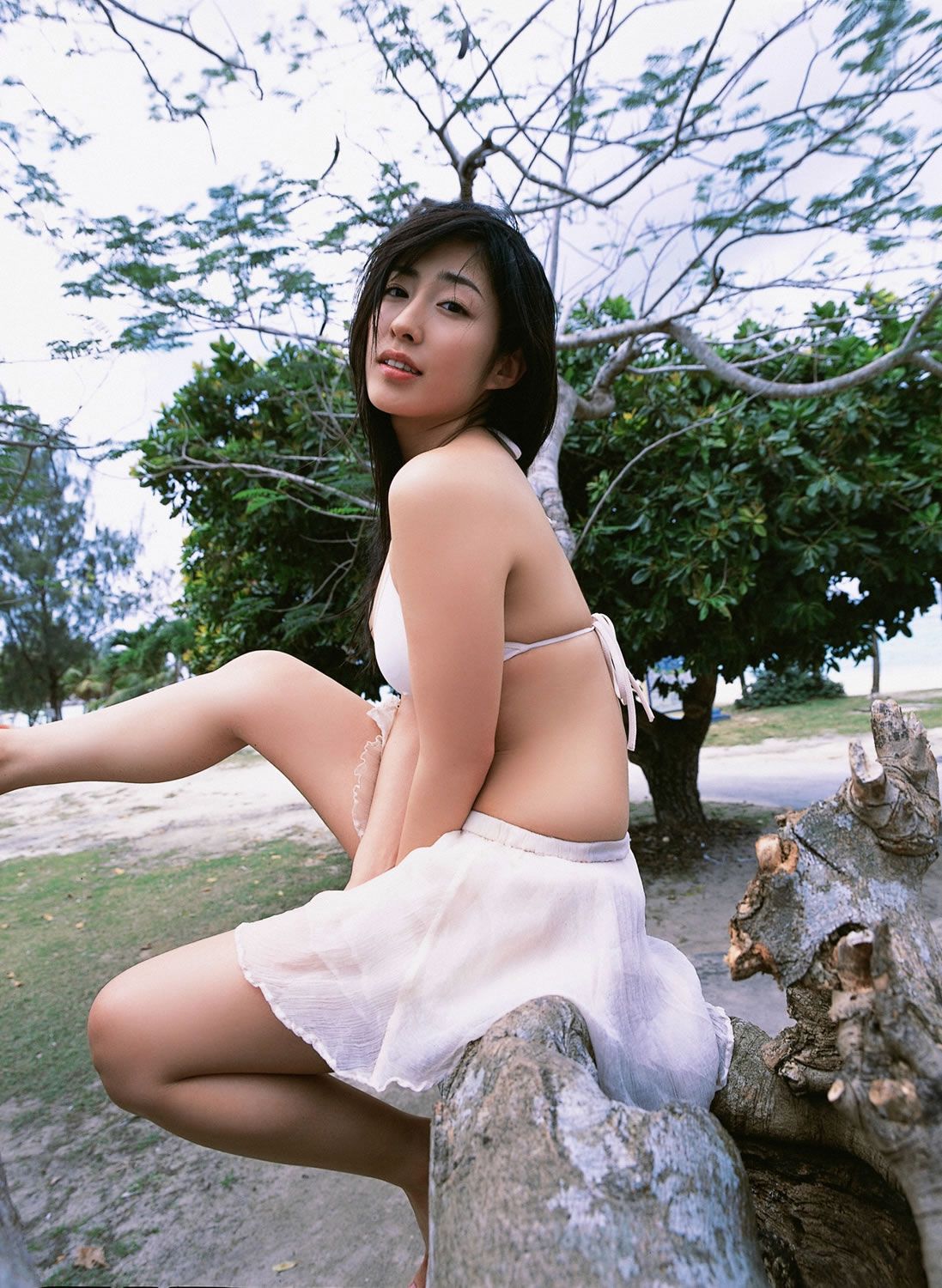 [YS Web] Vol.206 Hiroko Sato 佐藤寛子 - 子猫のままでいさせて