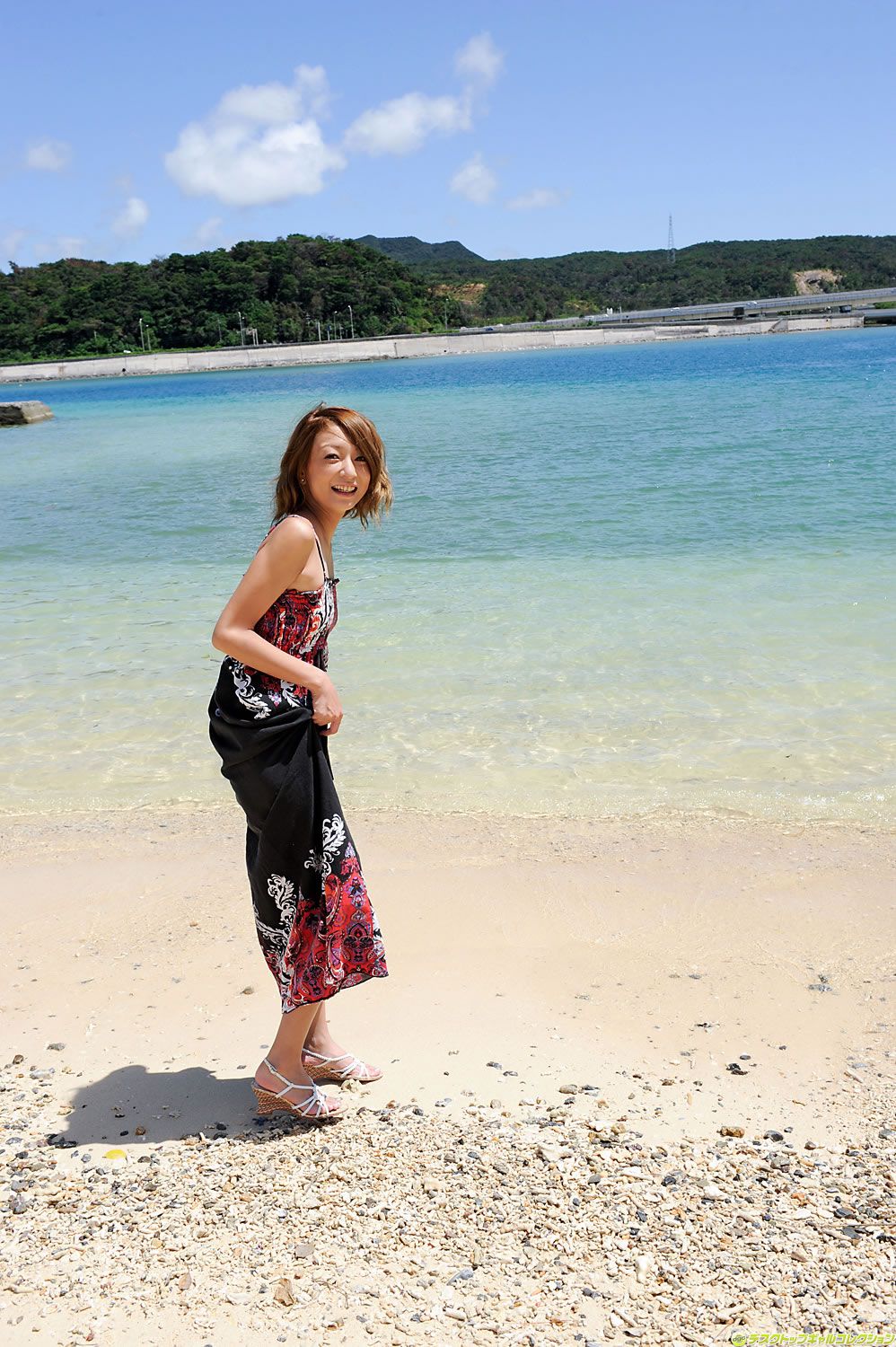 [DGC] 2011年03月號 No.929 Nao. [134P]