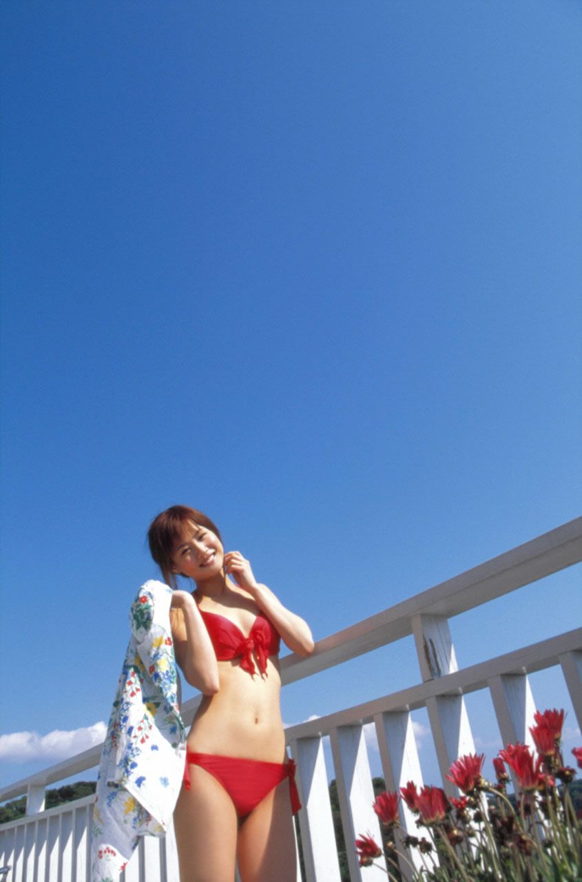 [Hello! Project Digital Books] No.33 Risa Niigaki 新垣里沙 [106P]