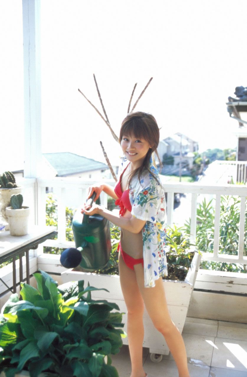 [Hello! Project Digital Books] No.33 Risa Niigaki 新垣里沙 [106P]