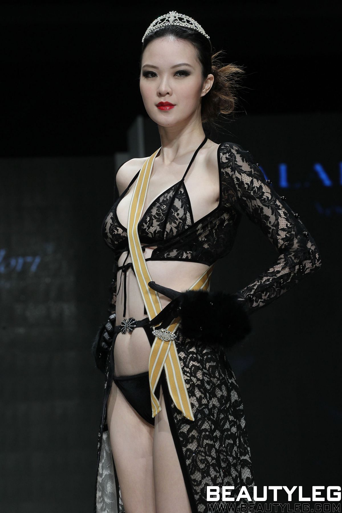 [Beautyleg] 美腿寫真 2012.12.10 No.252 限期下載 [204P]