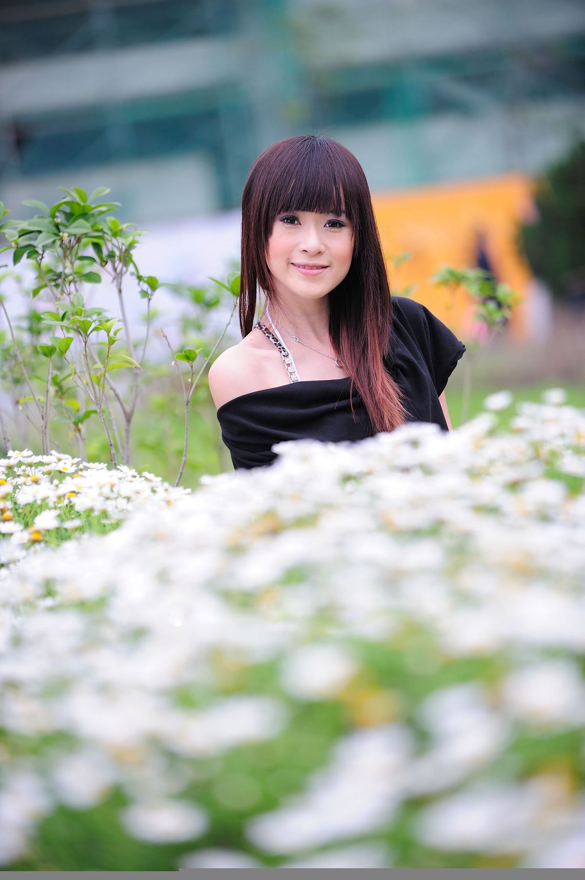 妃妃 (nana) - 薰衣草的爱 [50P]