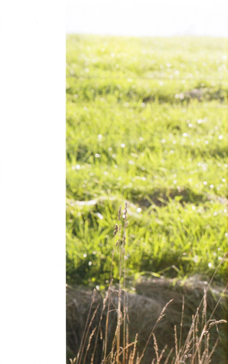 篠田麻里子 Mariko Shinoda 《Yes and No》写真全本 [100P]