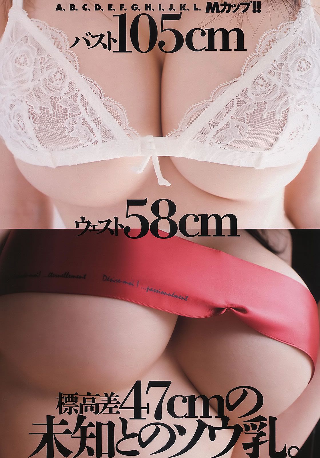 [Weekly Playboy] 2011 No.17 綾瀬はるか 宮沢佐江 新川優愛 愛衣 etc [42P]