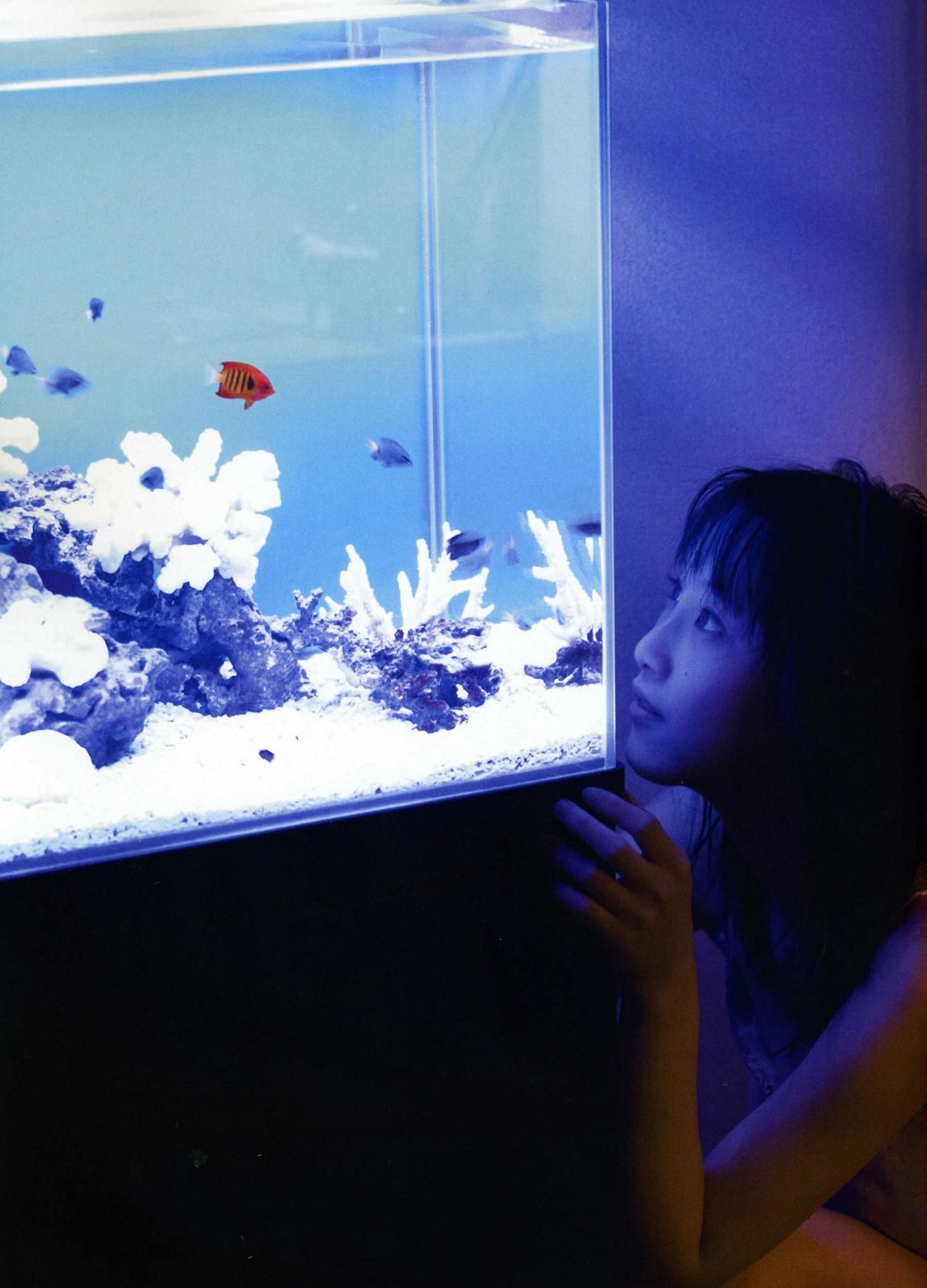 [PB] 松井玲奈 [SKE48]Rena Matsui《Kingyo (Goldfish)》 写真全本 [143P]