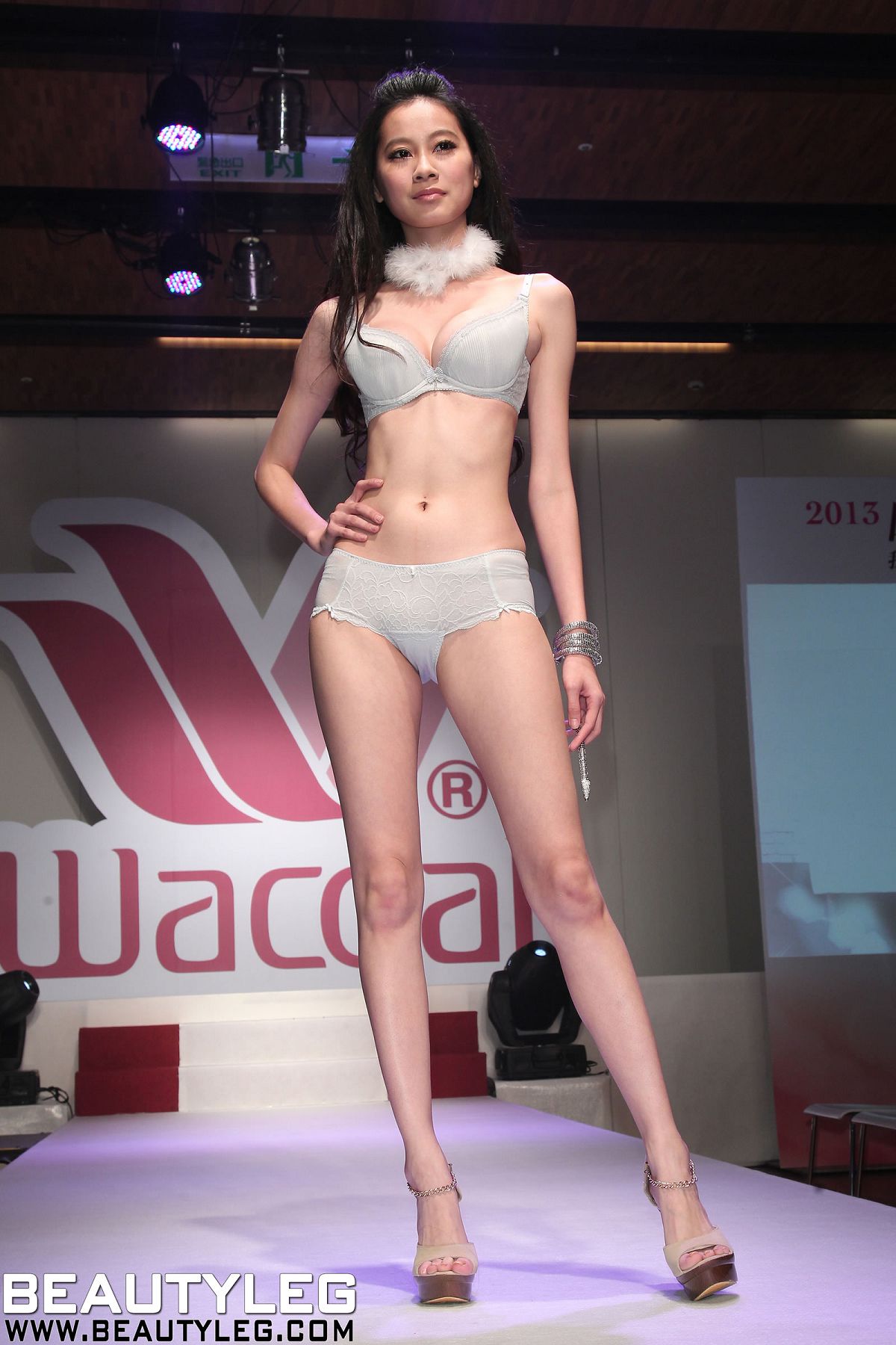 [Beautyleg] 美腿寫真 2013.03.15 No.254 限期下載 [119P]