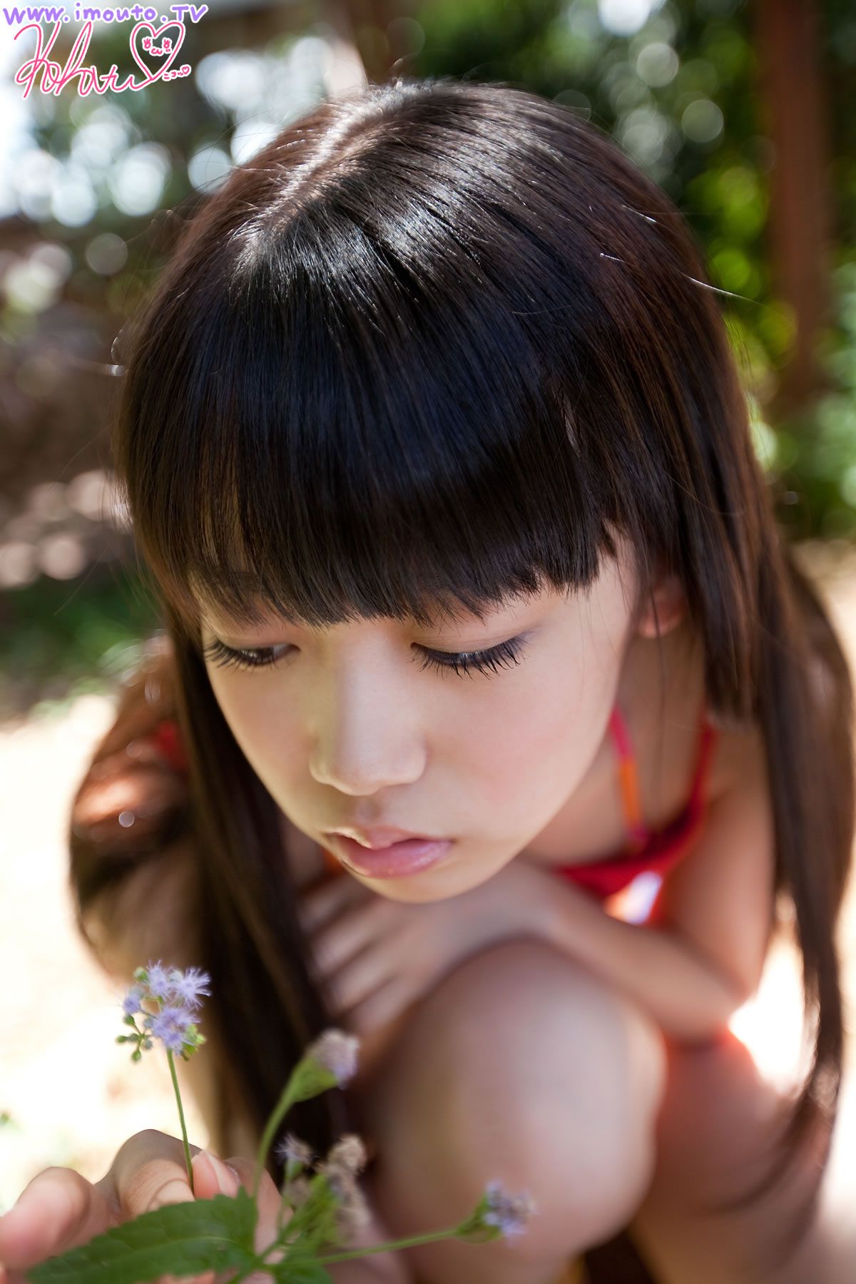 [Imouto.tv] 2012.12.17 西野小春 Koharu Nishino g nishino koharu [109P]