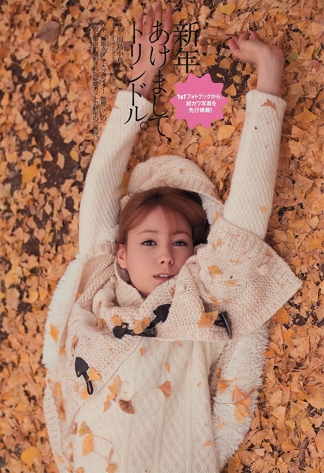 [Weekly Playboy] 2013 No.03-04 柏木由紀 小島瑠璃子 松本若菜 小池里奈 相武紗季 [46P]