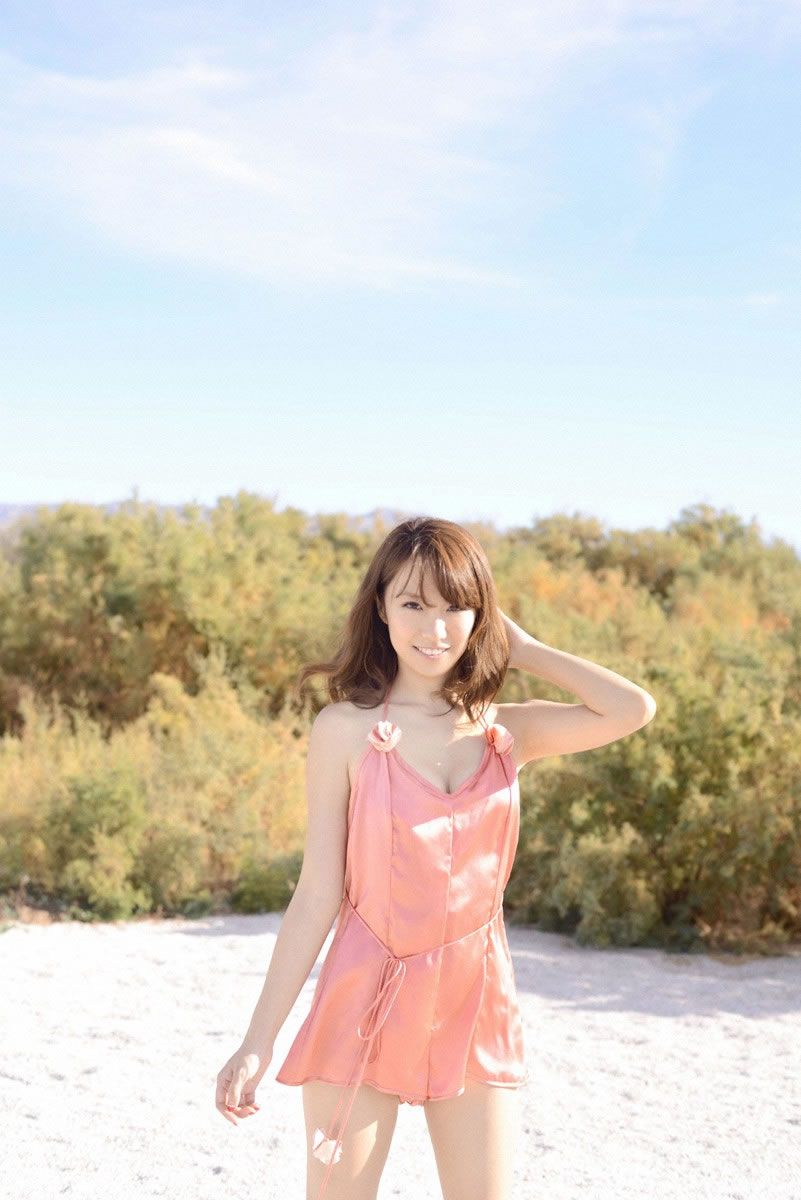 [Wanibooks WBGC] 2013.04.26 No.106 山本梓 [56P]