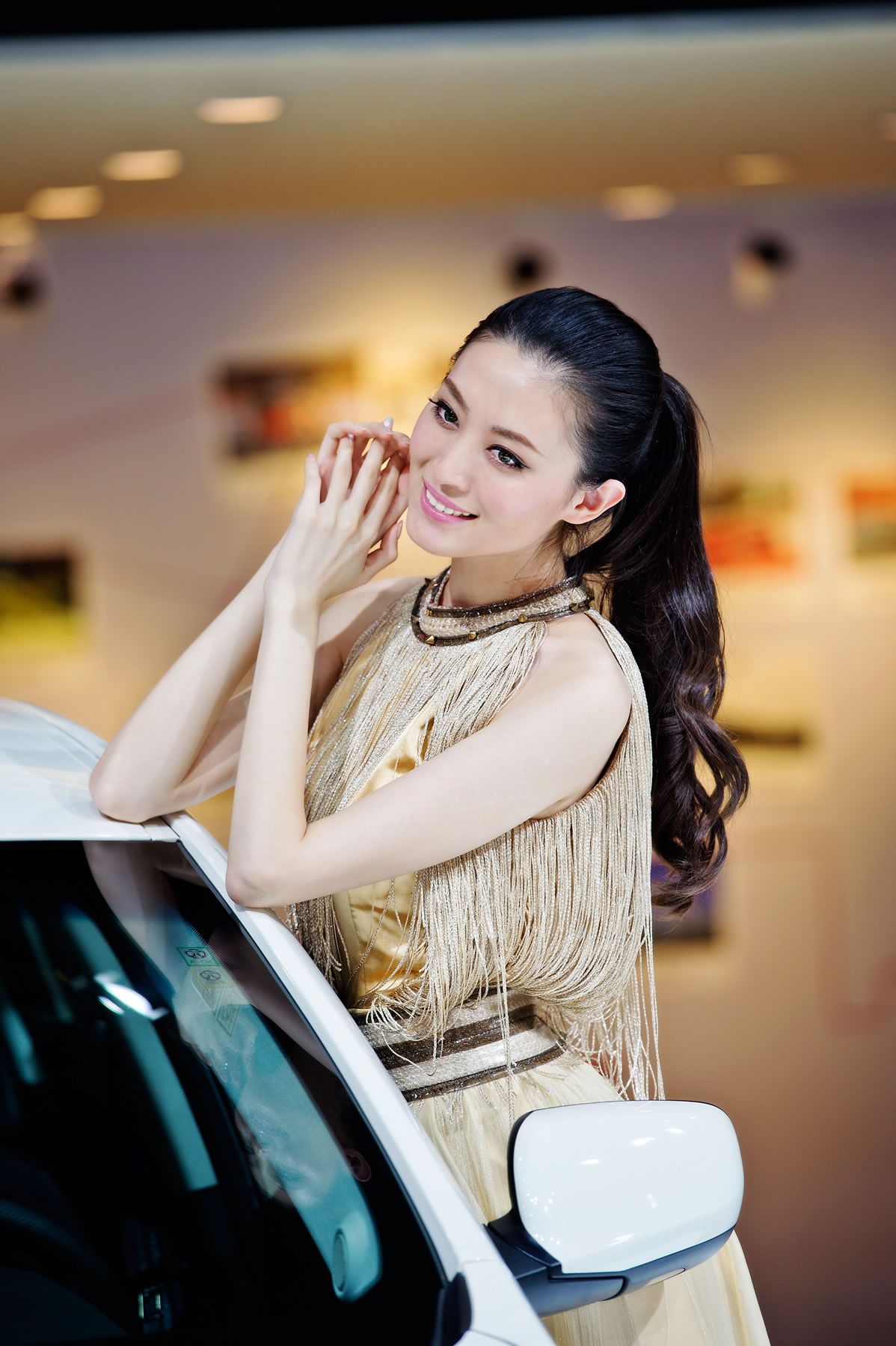 [网络收集] 2013.11.19 2013年成都车展 Part.9 [89P]