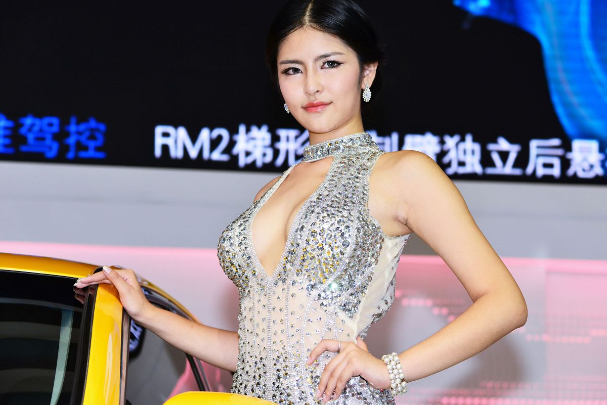 [网络收集] 2013.11.19 2013年成都车展 Part.9 [89P]