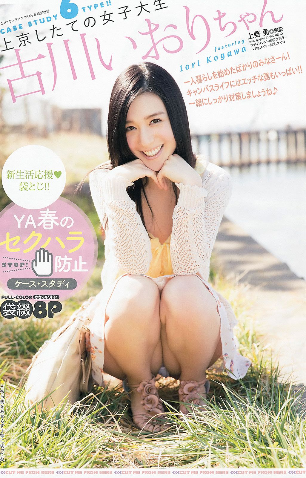 [Young Animal] 2013 No.07 08 09 白石麻衣 篠崎愛 紗綾 古川いおり [30P]