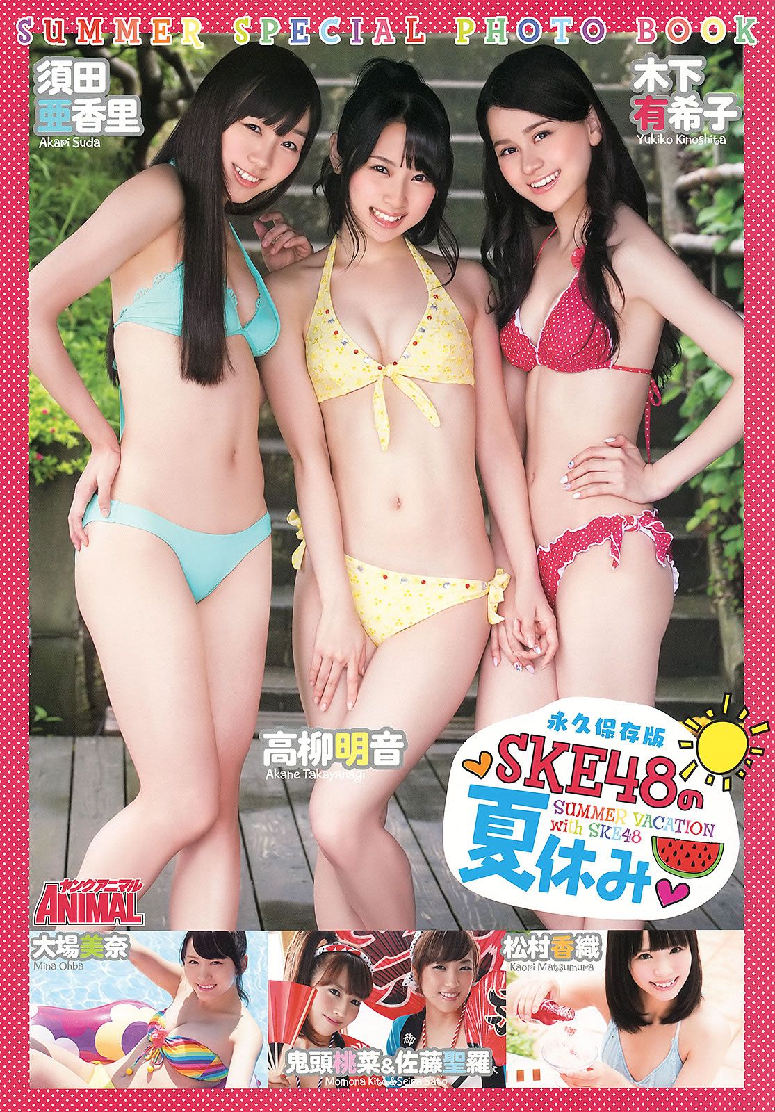 [Young Animal] 2013 No.14 SKE48 [38P]