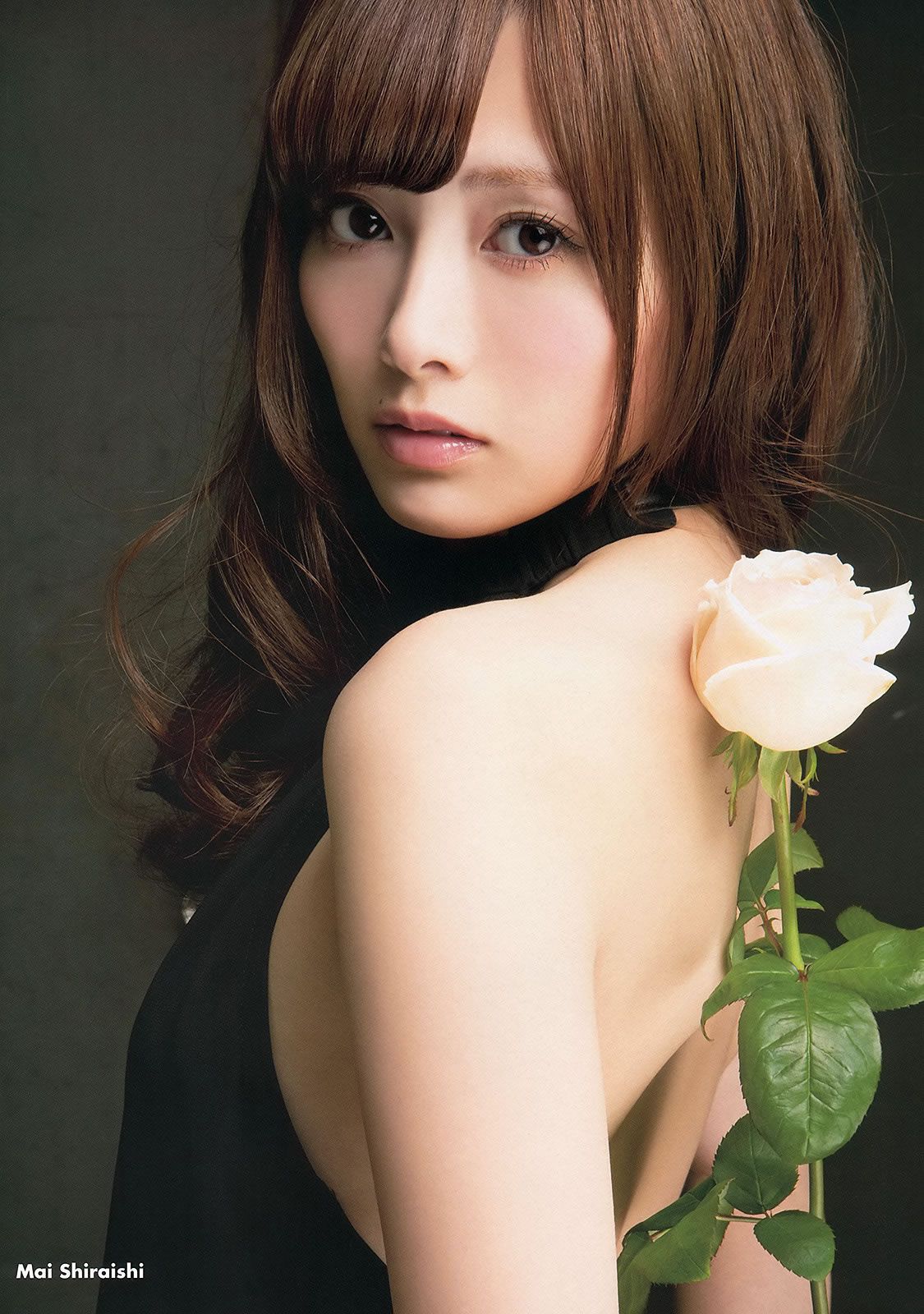 [Young Animal] 2013 No.24 白石麻衣 桜井玲香 松村沙友理 須田亜香里 松村香織 [19P]