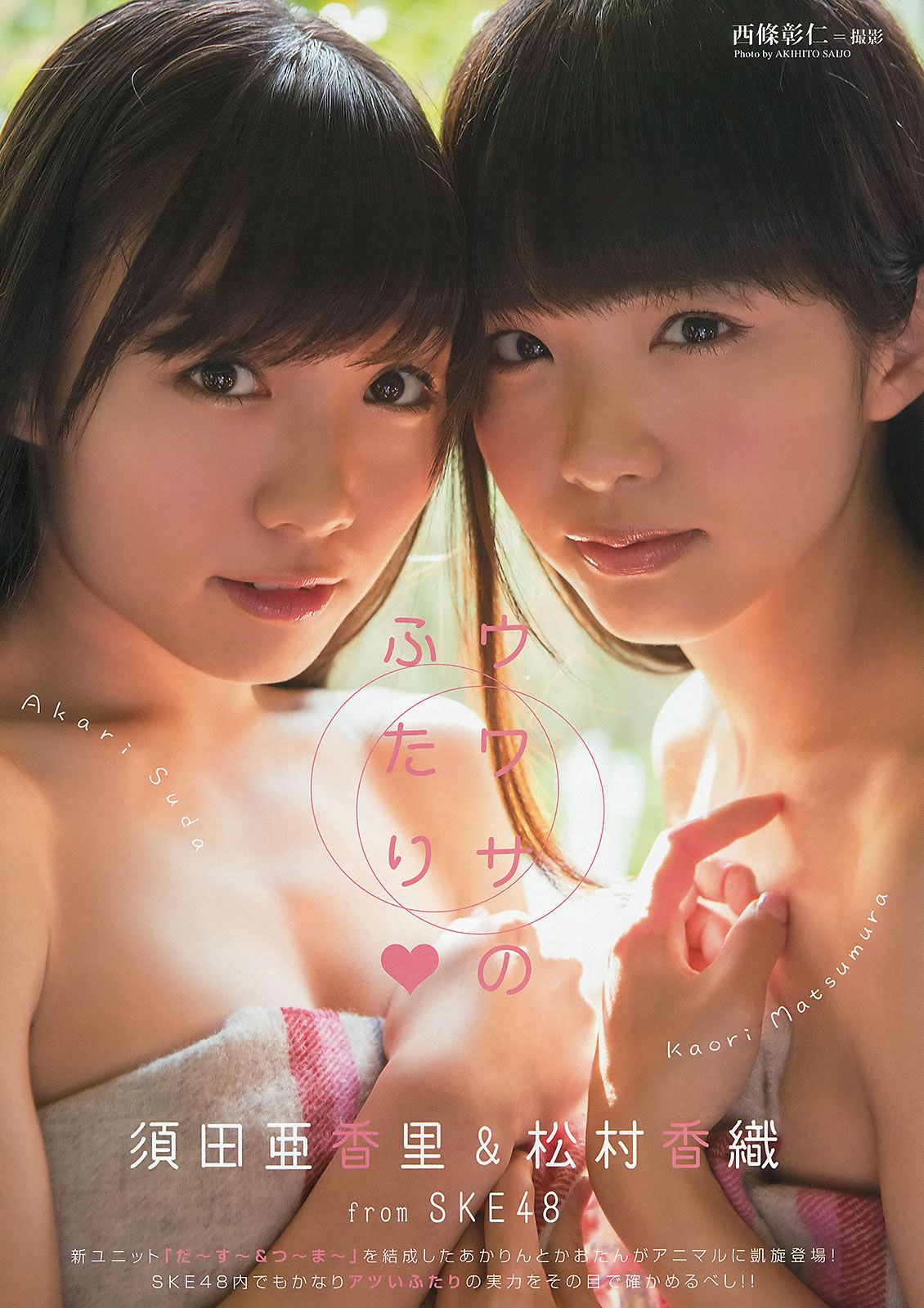 [Young Animal] 2013 No.24 白石麻衣 桜井玲香 松村沙友理 須田亜香里 松村香織 [19P]