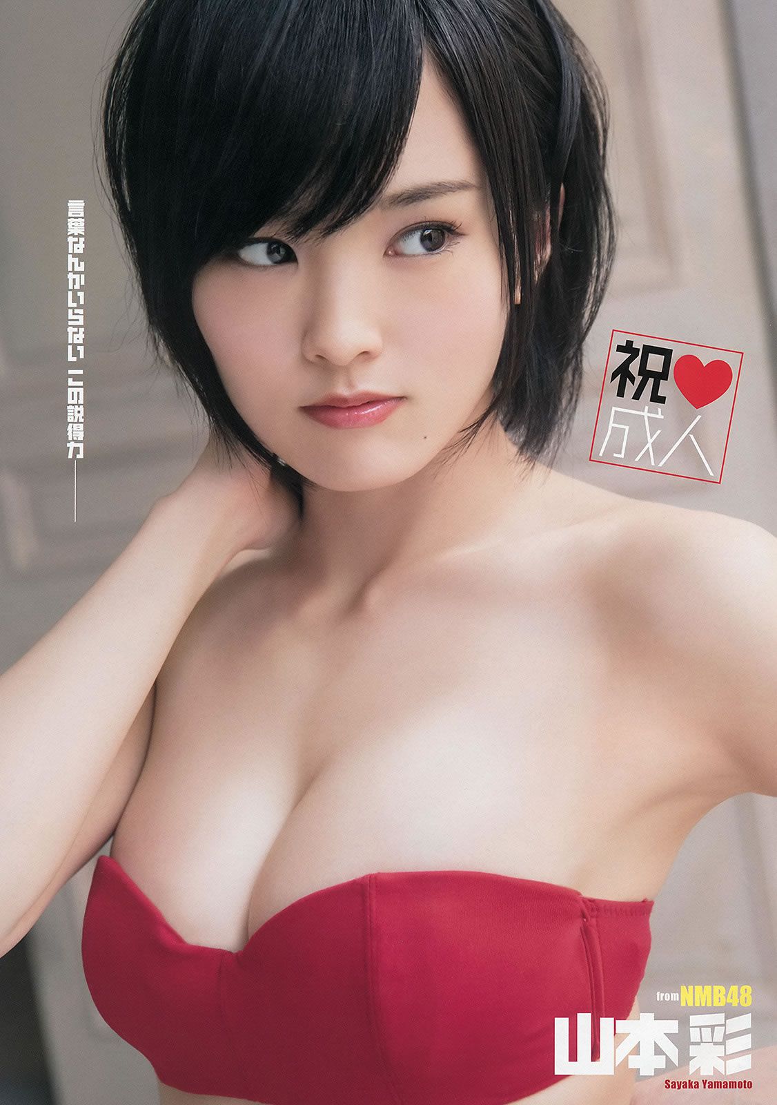 [Young Animal] 2014 No03.04 山本彩 後藤郁 仙石みなみ 山中知恵 [30P]