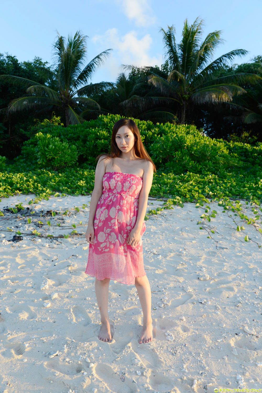 [DGC] 2014.02 No.1146 Miku Konno 紺野ミク [100P]