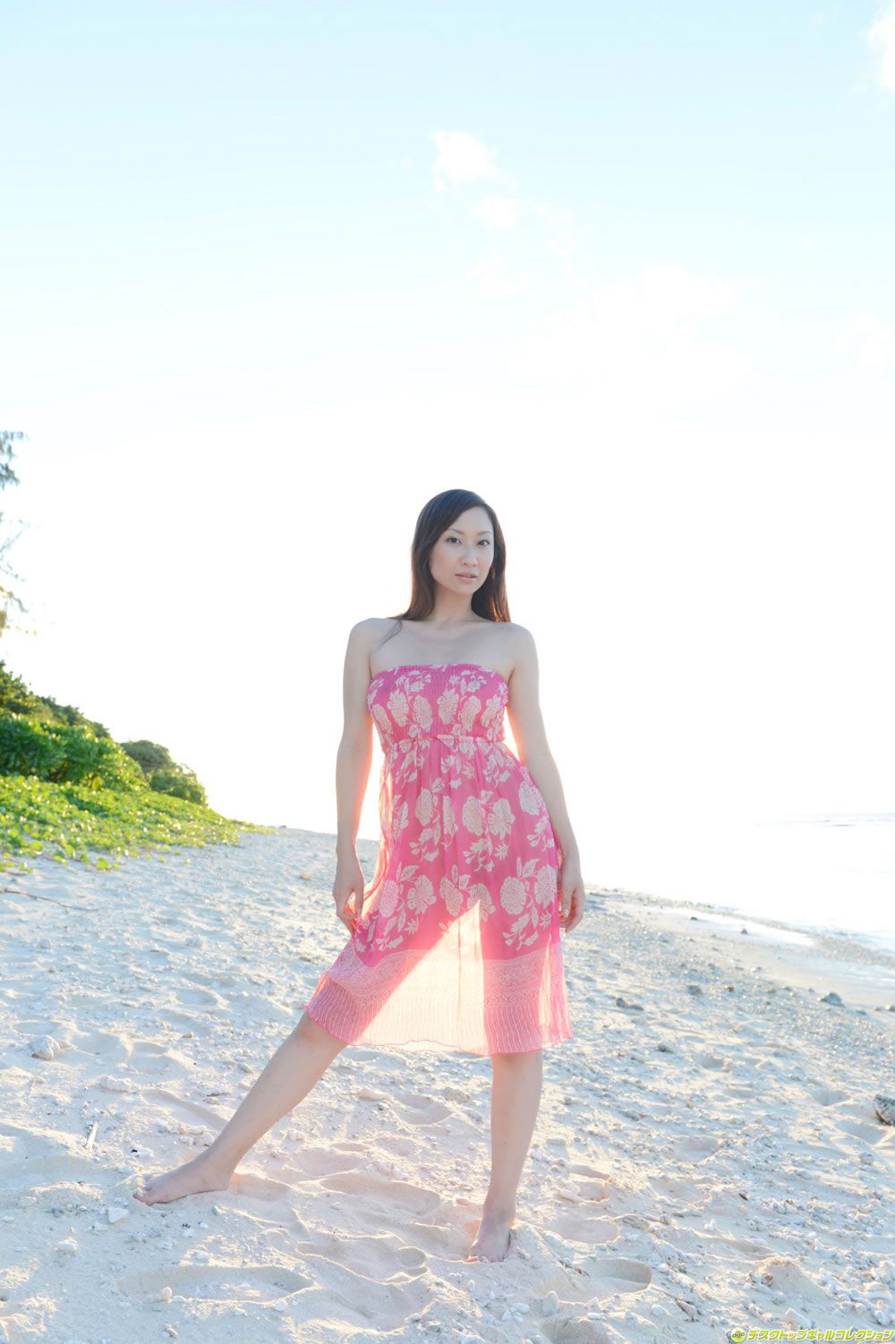[DGC] 2014.02 No.1146 Miku Konno 紺野ミク [100P]