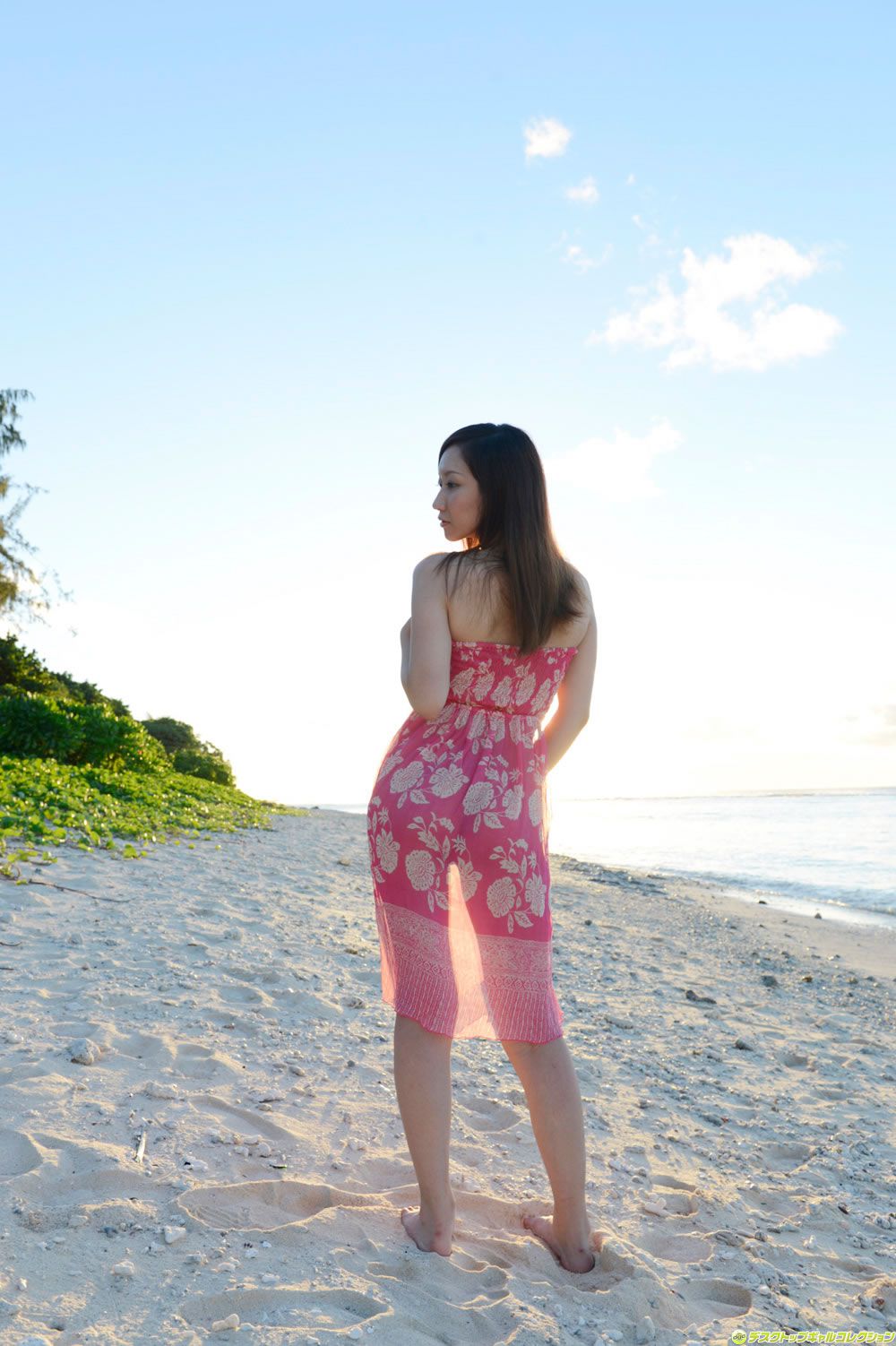 [DGC] 2014.02 No.1146 Miku Konno 紺野ミク [100P]