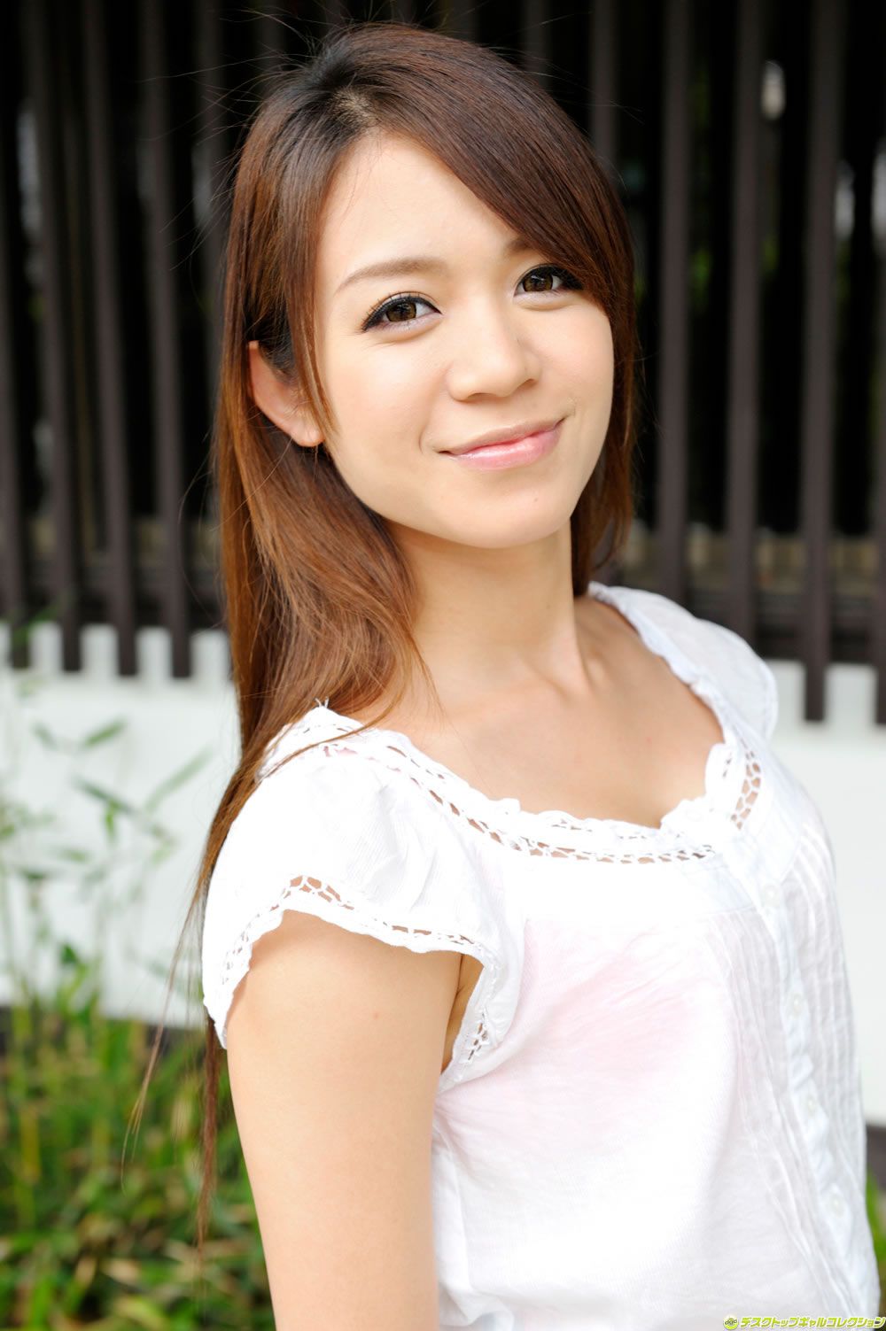 [DGC] 2014.02 No.1148 Shelly Fujii 藤井シェリー [100P]