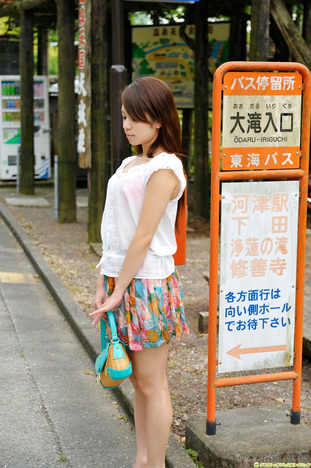 [DGC] 2014.02 No.1148 Shelly Fujii 藤井シェリー [100P]