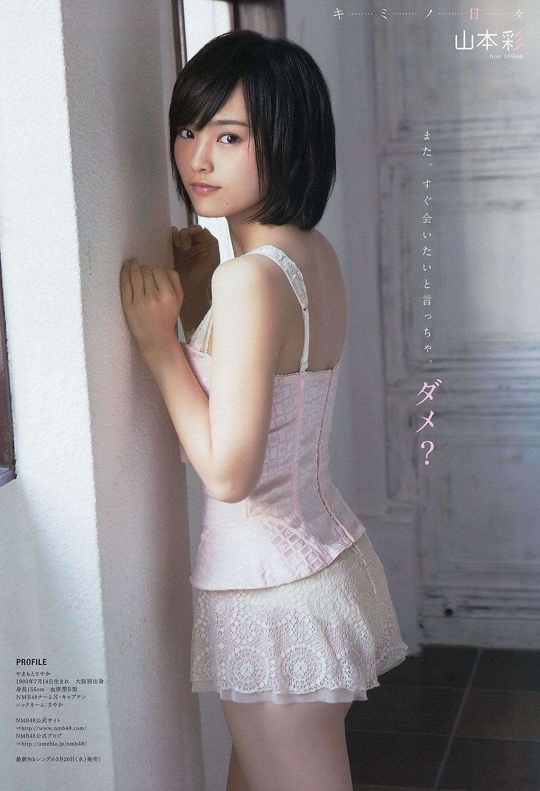 [Young Animal] 2014 No.05-07 松井玲奈 須田亜香里 篠崎愛 星名美津紀 山本彩 [38P]