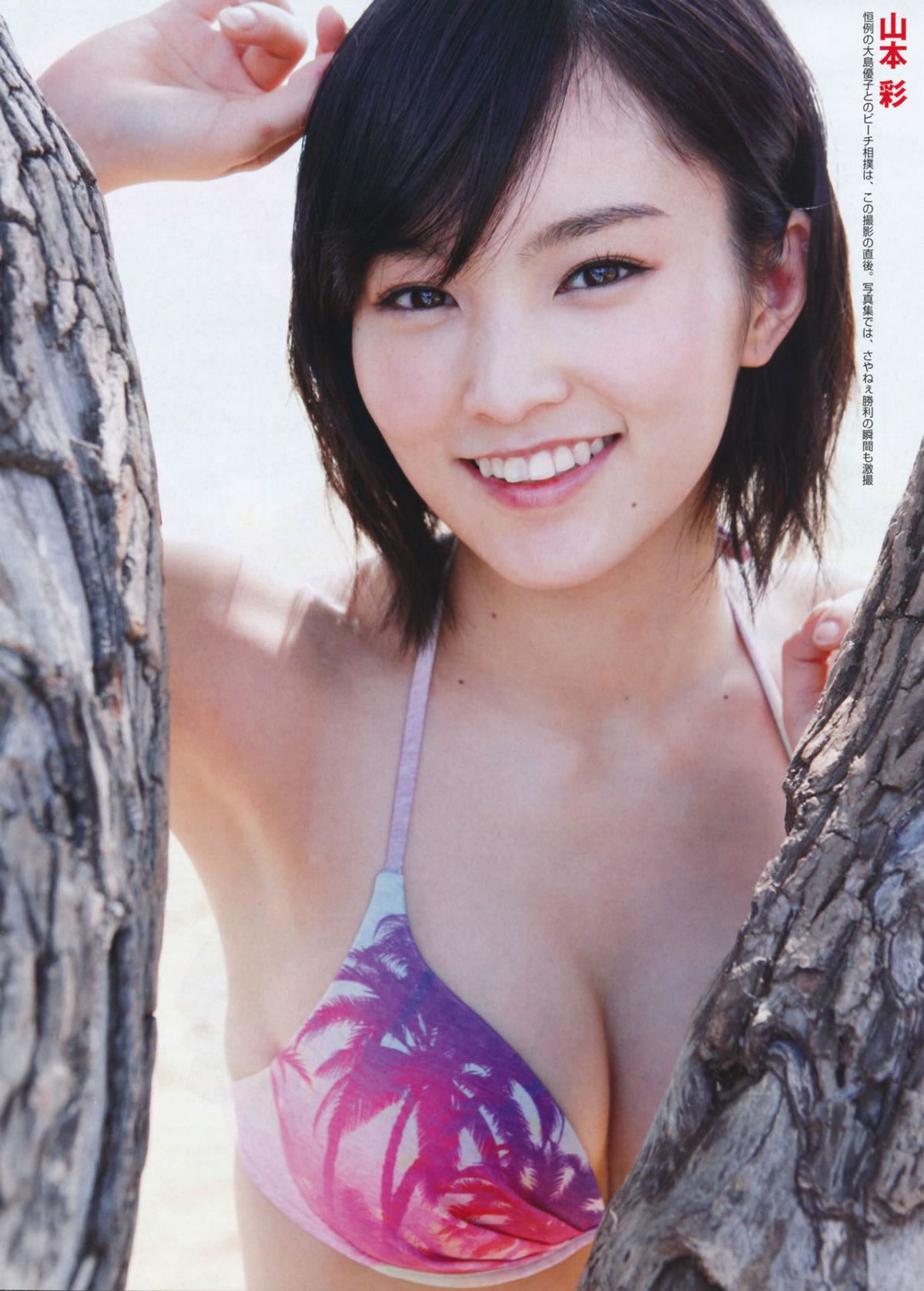 [FLASH] 增刊 2014.05.30 岛崎遥香 [63P]