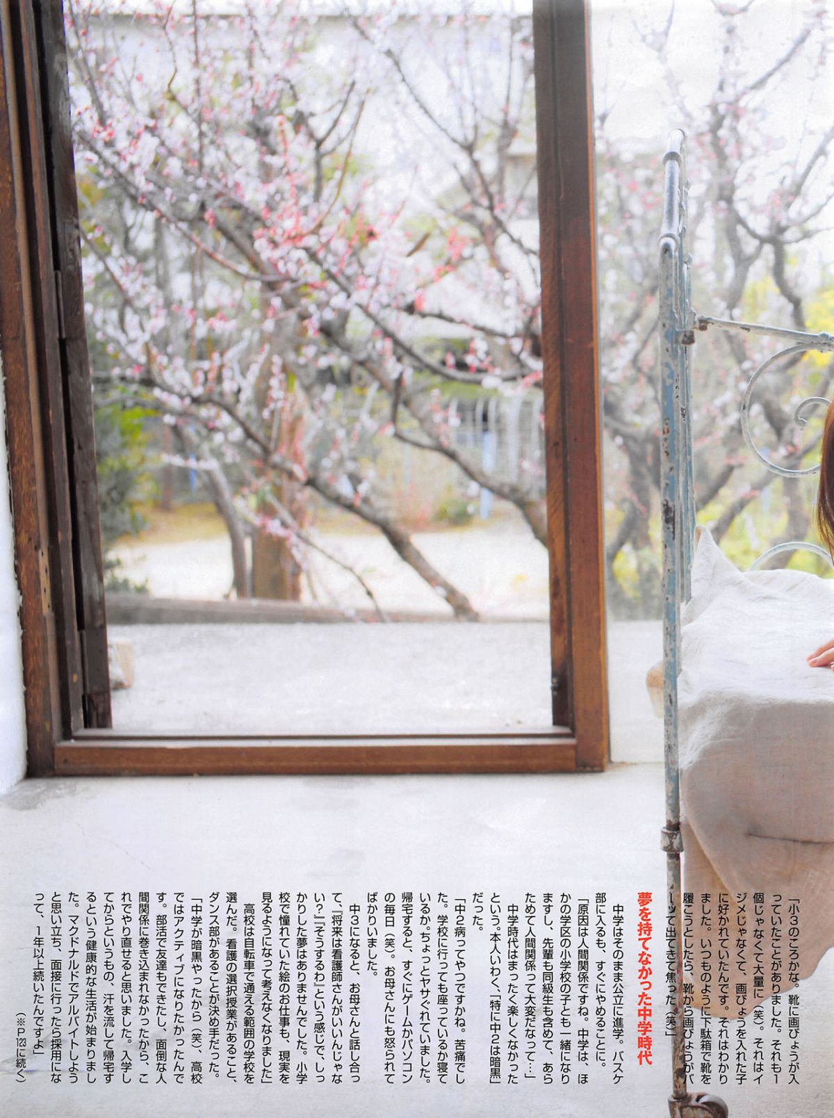 [FLASH] 增刊 2014.05.30 岛崎遥香 [63P]