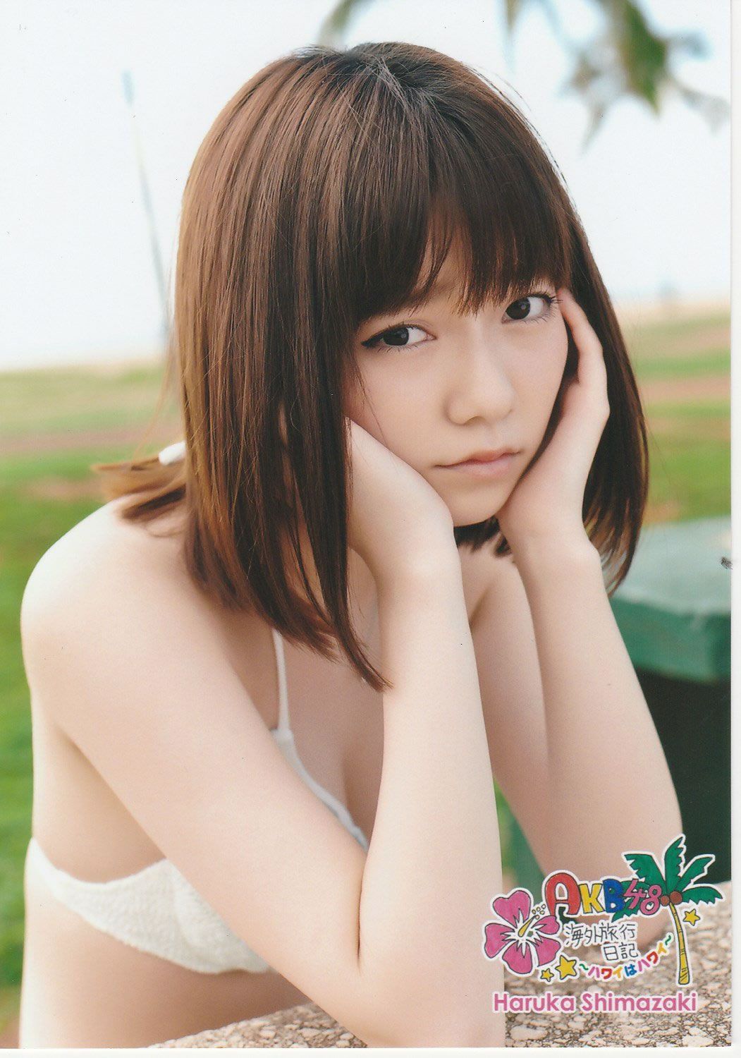2013.03.18 AKB海外旅行日記3 ハワイはハワイ 生写真 [94P]