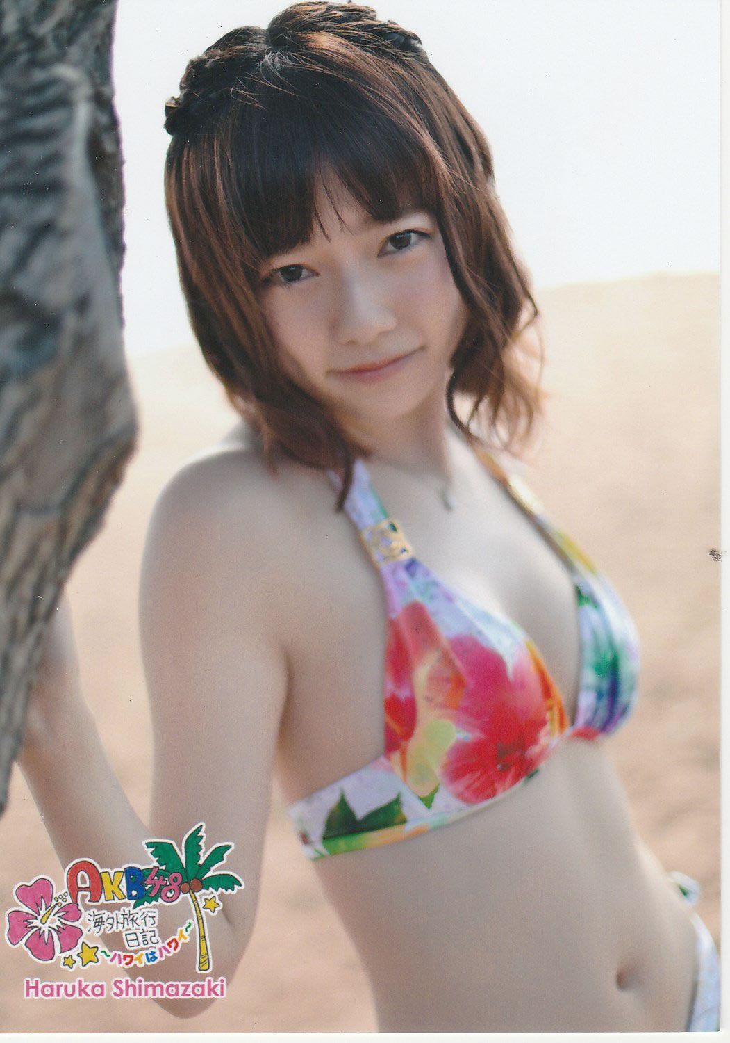 2013.03.18 AKB海外旅行日記3 ハワイはハワイ 生写真 [94P]