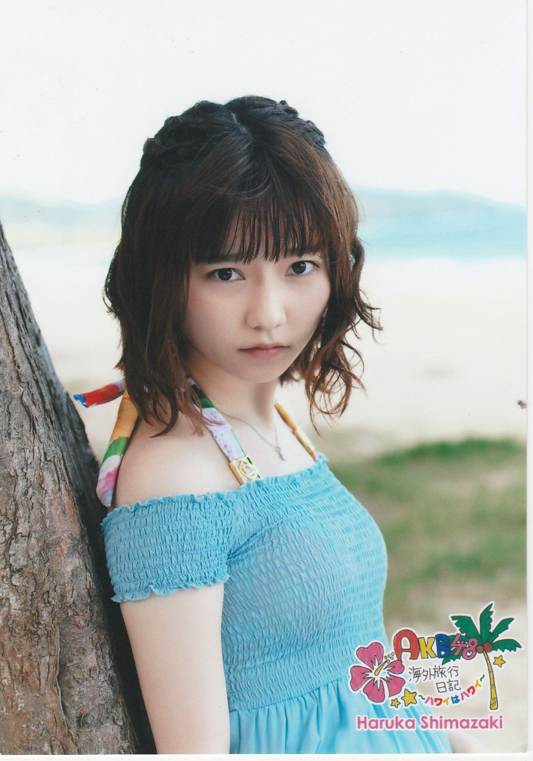 2013.03.18 AKB海外旅行日記3 ハワイはハワイ 生写真 [94P]