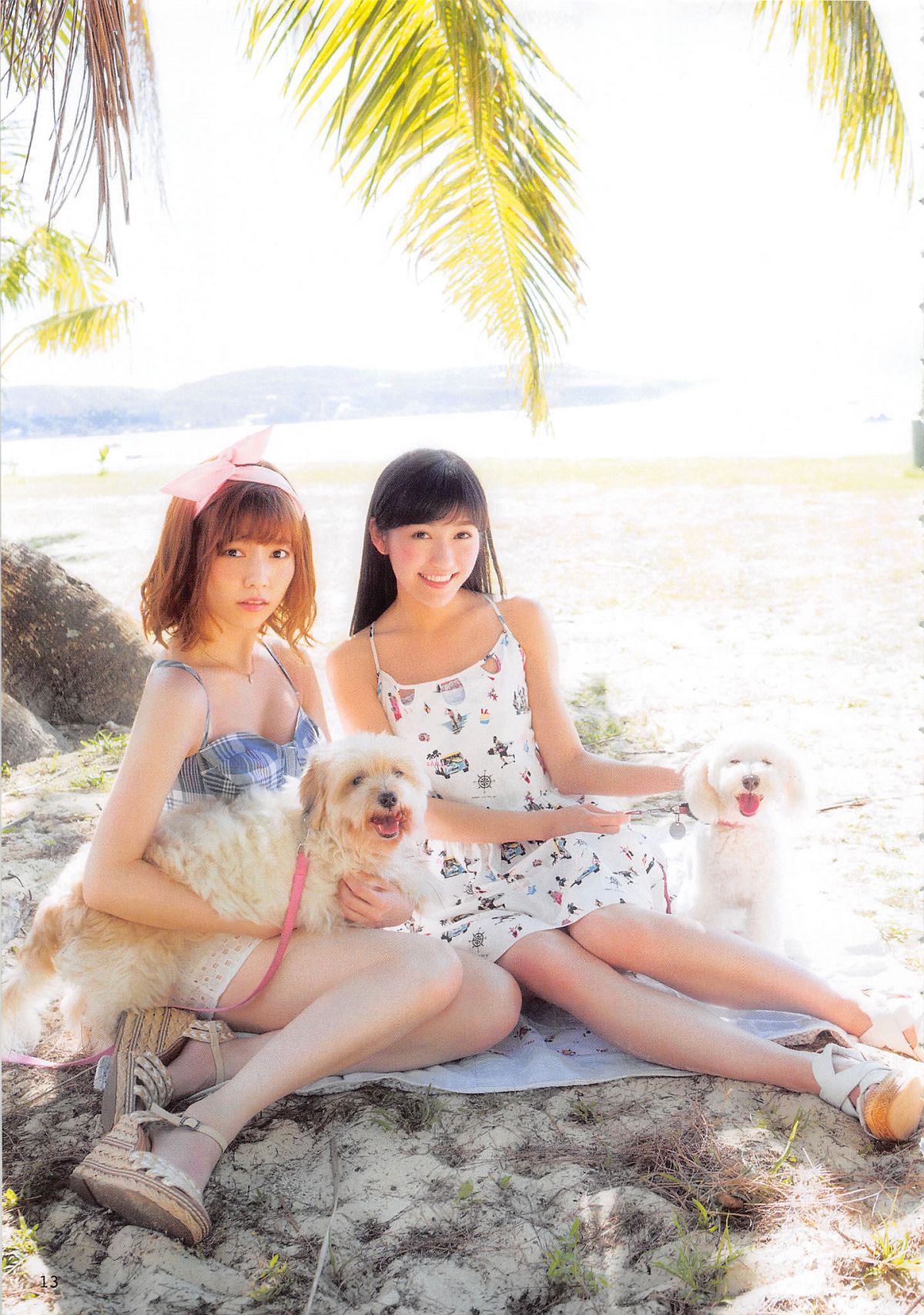 2014.06.30 AKB48 写真集 AKB48の犬兄妹 [102P]