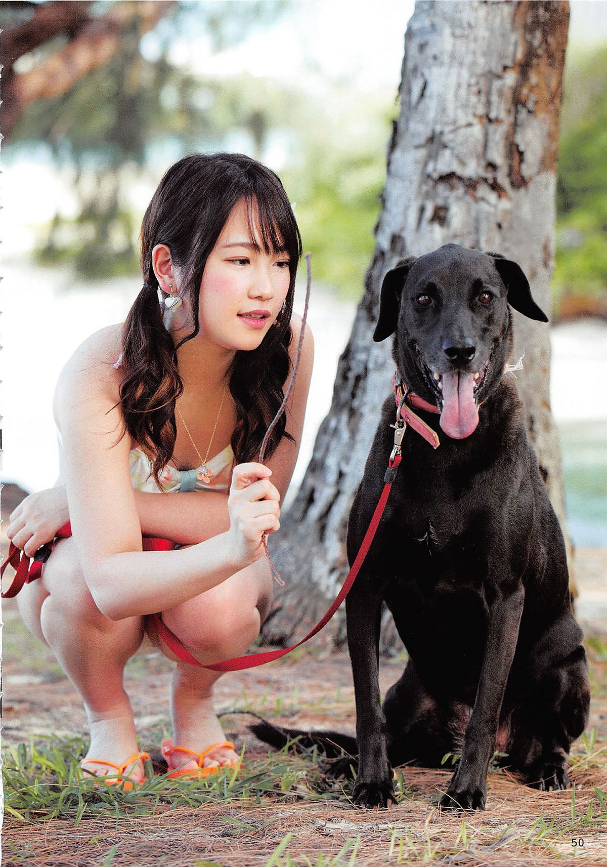 2014.06.30 AKB48 写真集 AKB48の犬兄妹 [102P]