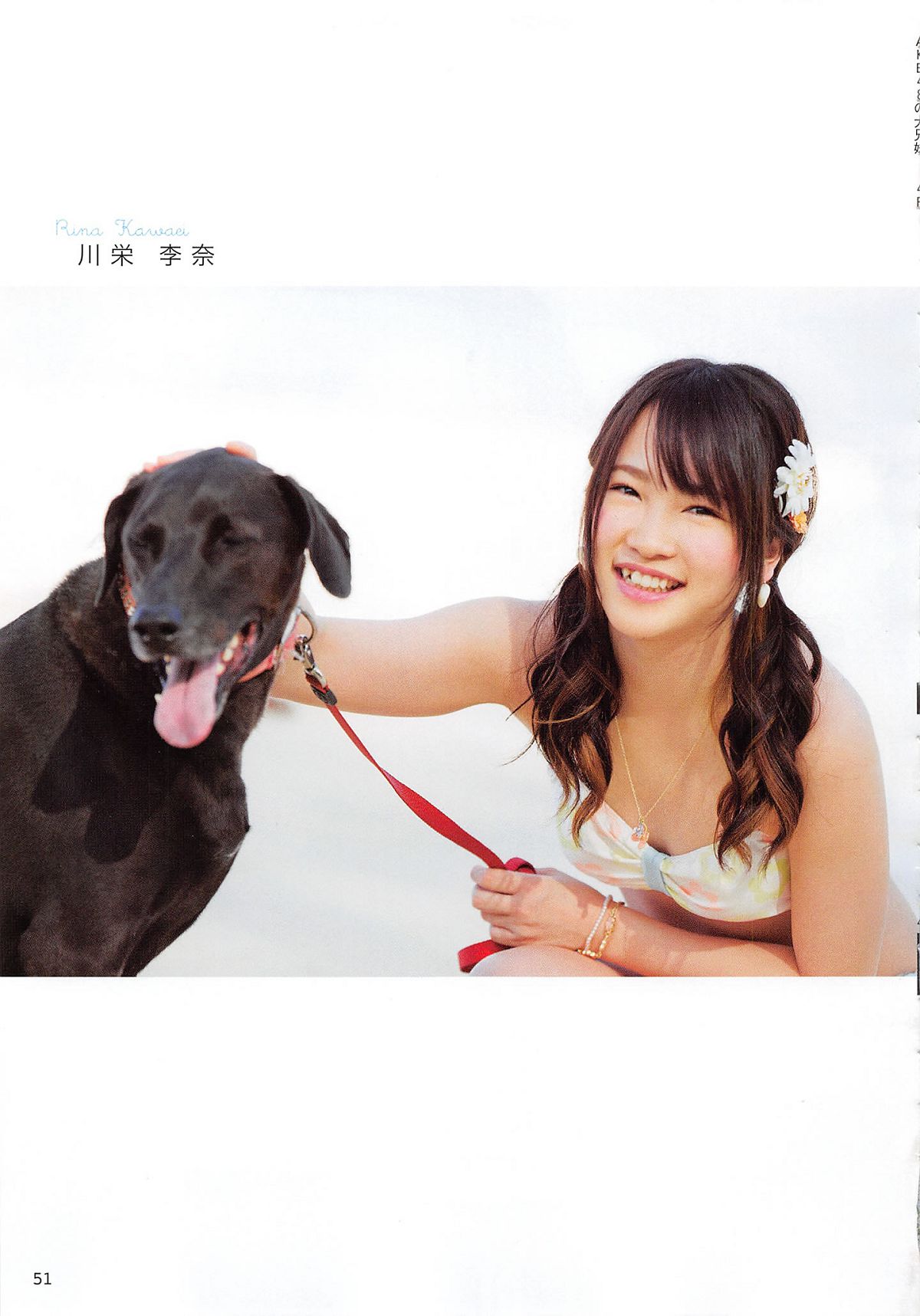 2014.06.30 AKB48 写真集 AKB48の犬兄妹 [102P]