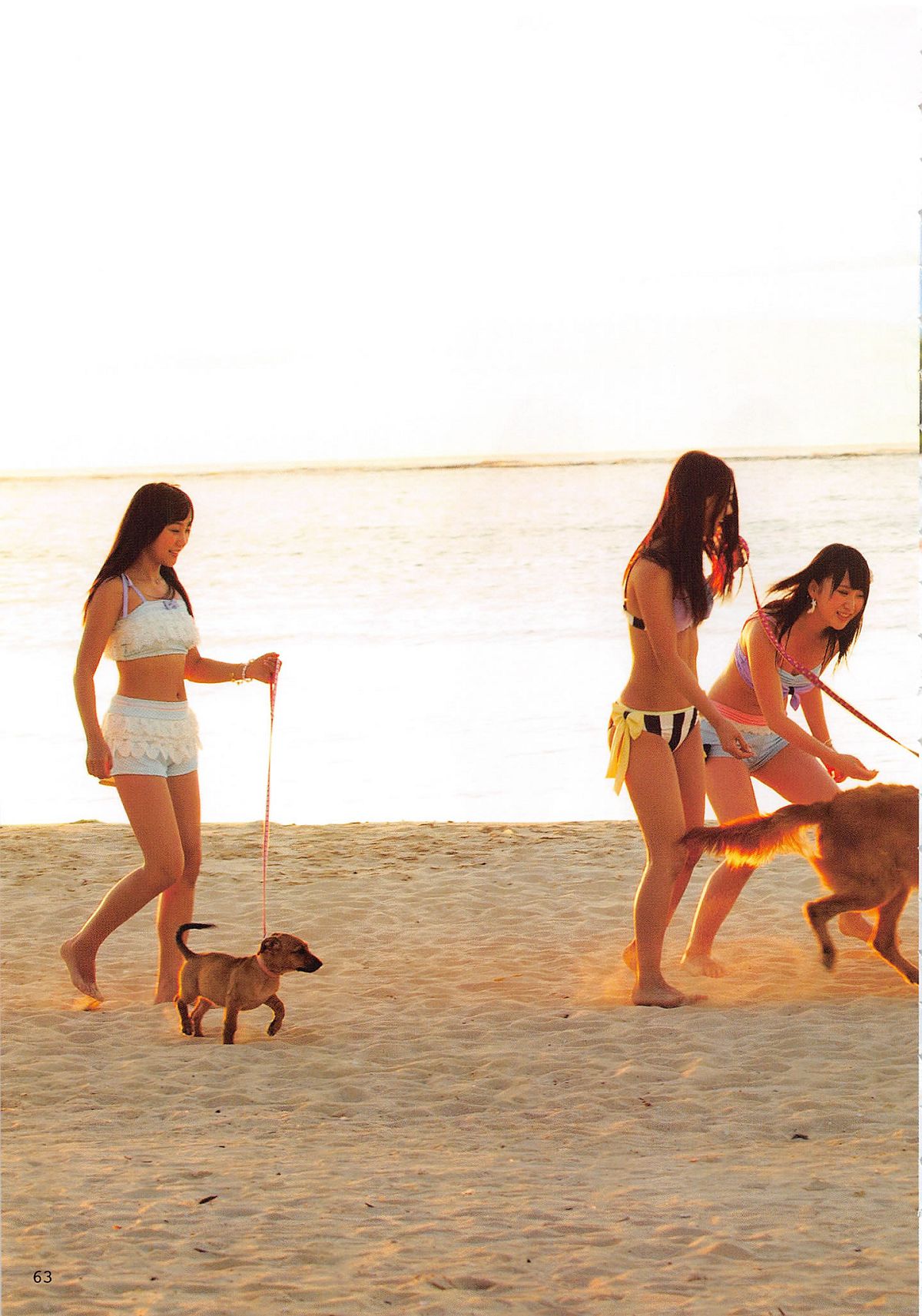 2014.06.30 AKB48 写真集 AKB48の犬兄妹 [102P]
