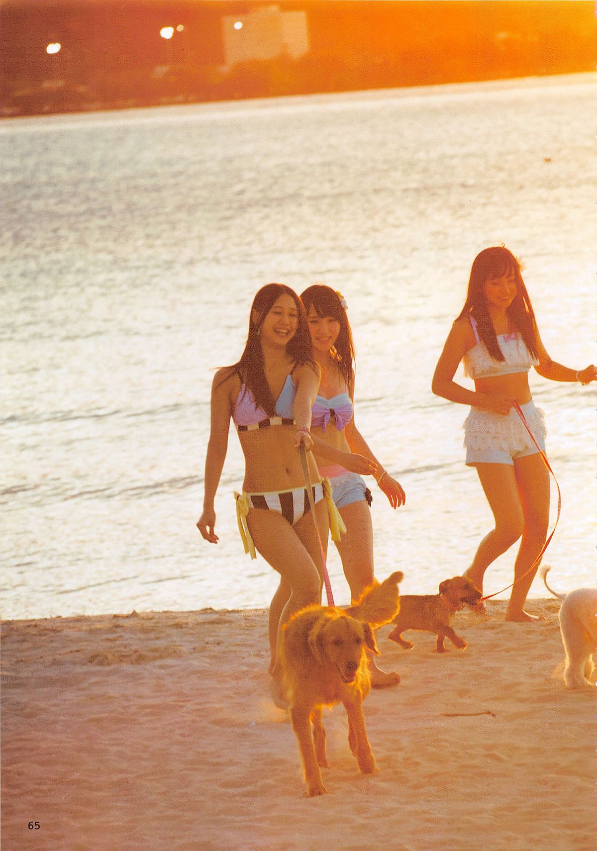 2014.06.30 AKB48 写真集 AKB48の犬兄妹 [102P]