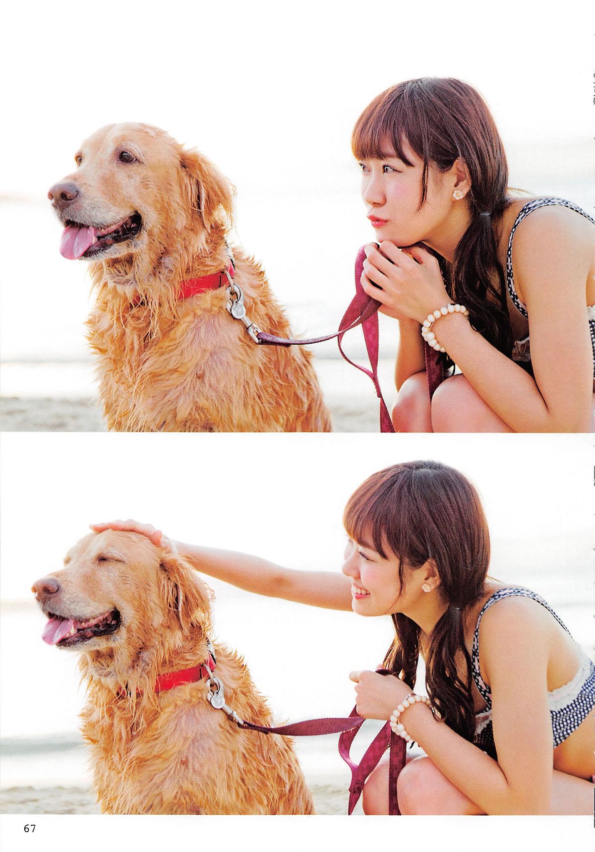 2014.06.30 AKB48 写真集 AKB48の犬兄妹 [102P]